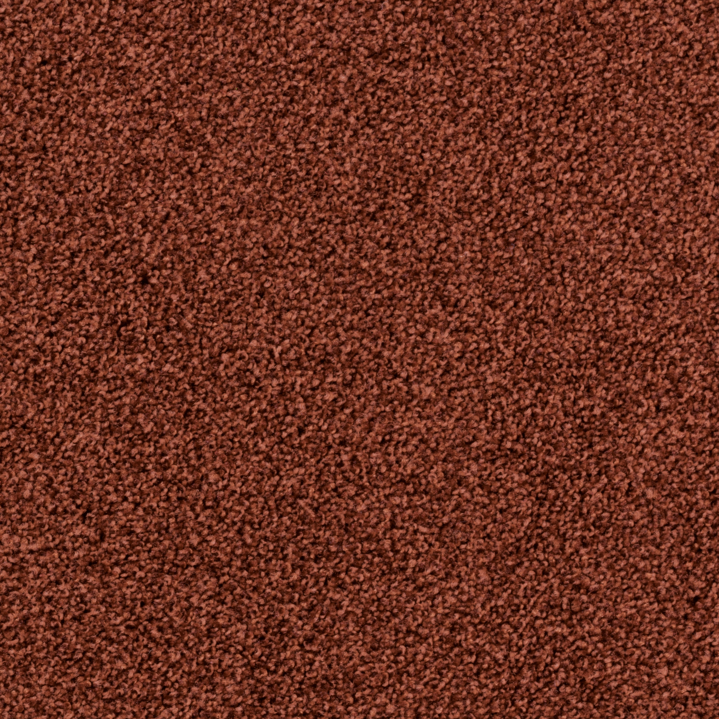 Torso Tiles