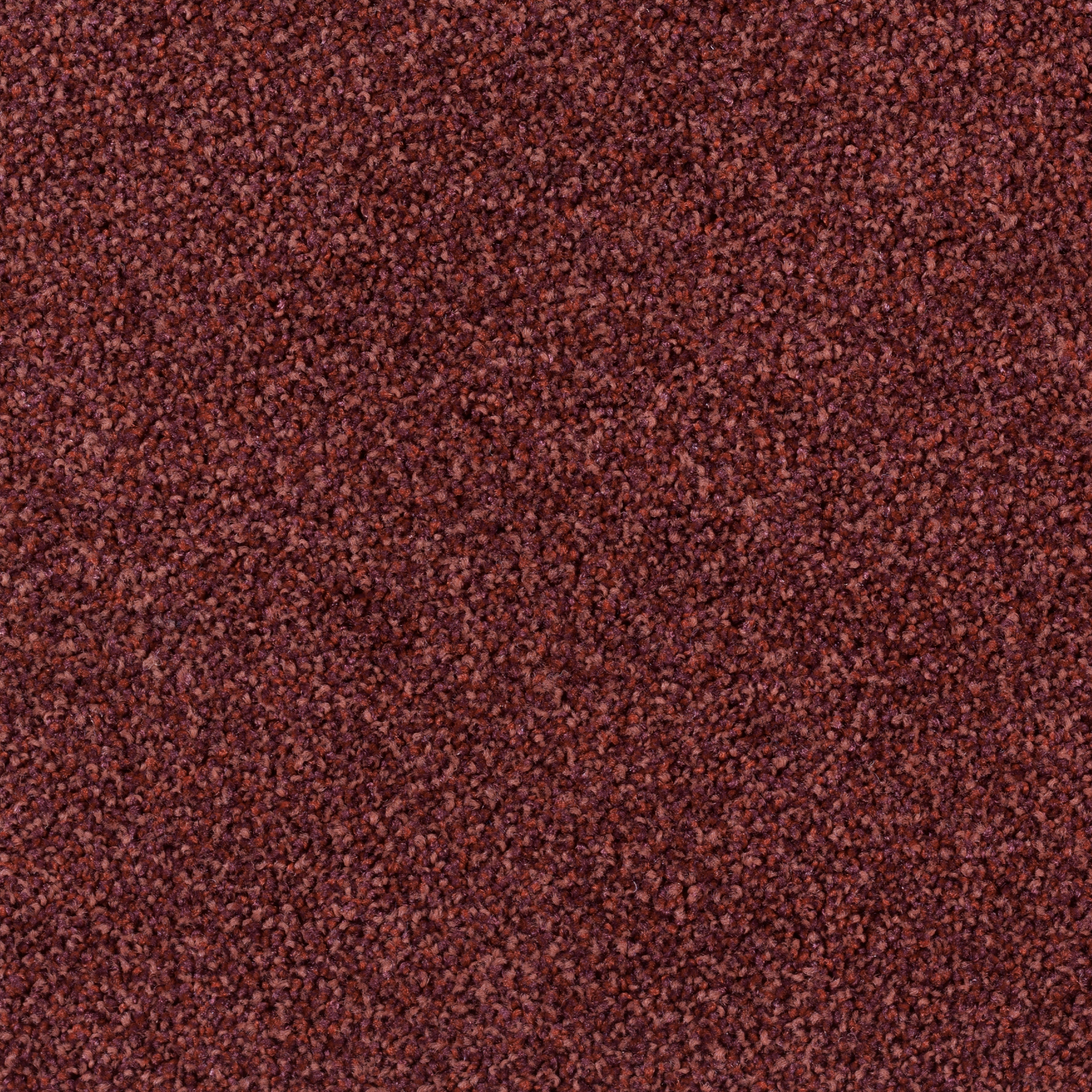 Torso Tiles