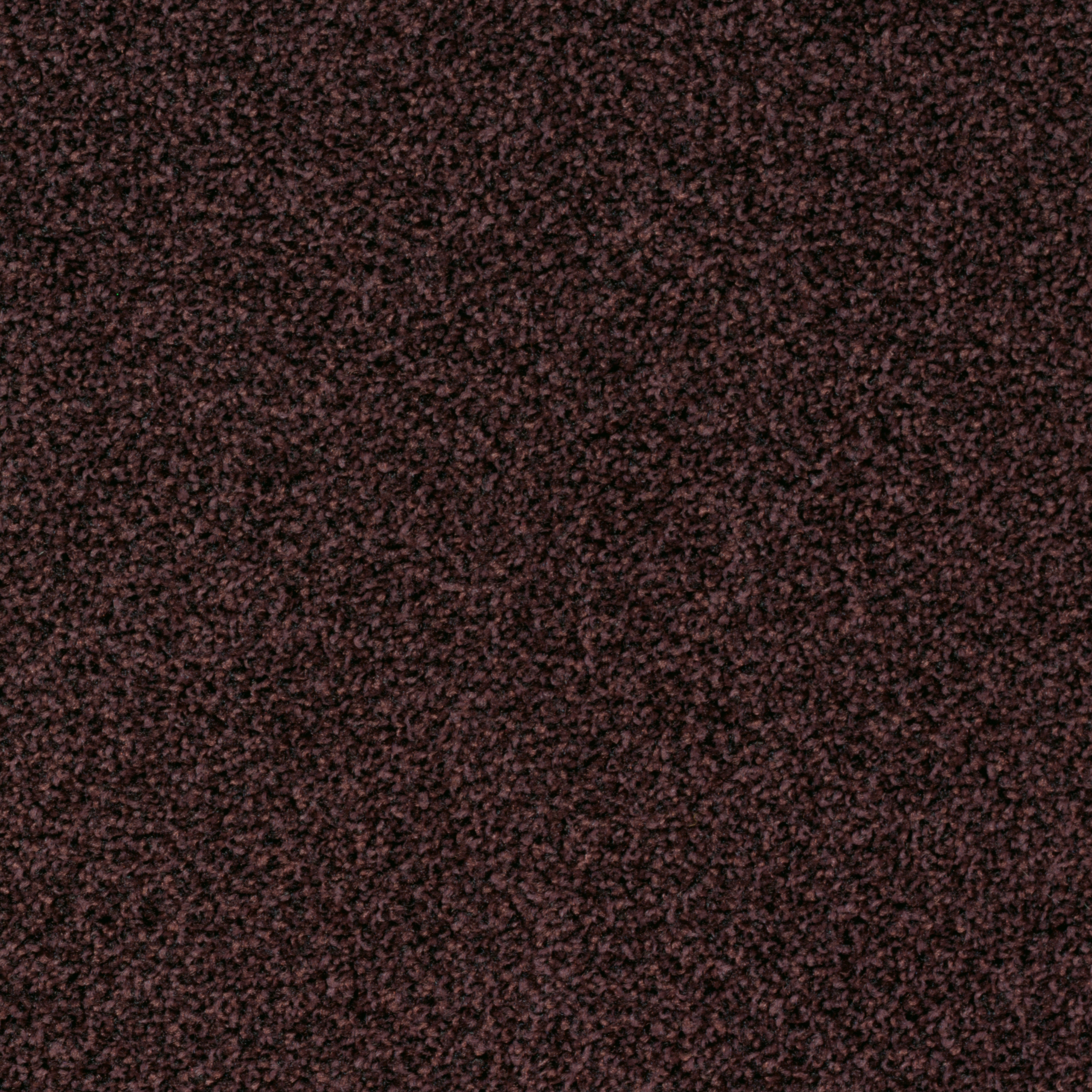 Torso Tiles