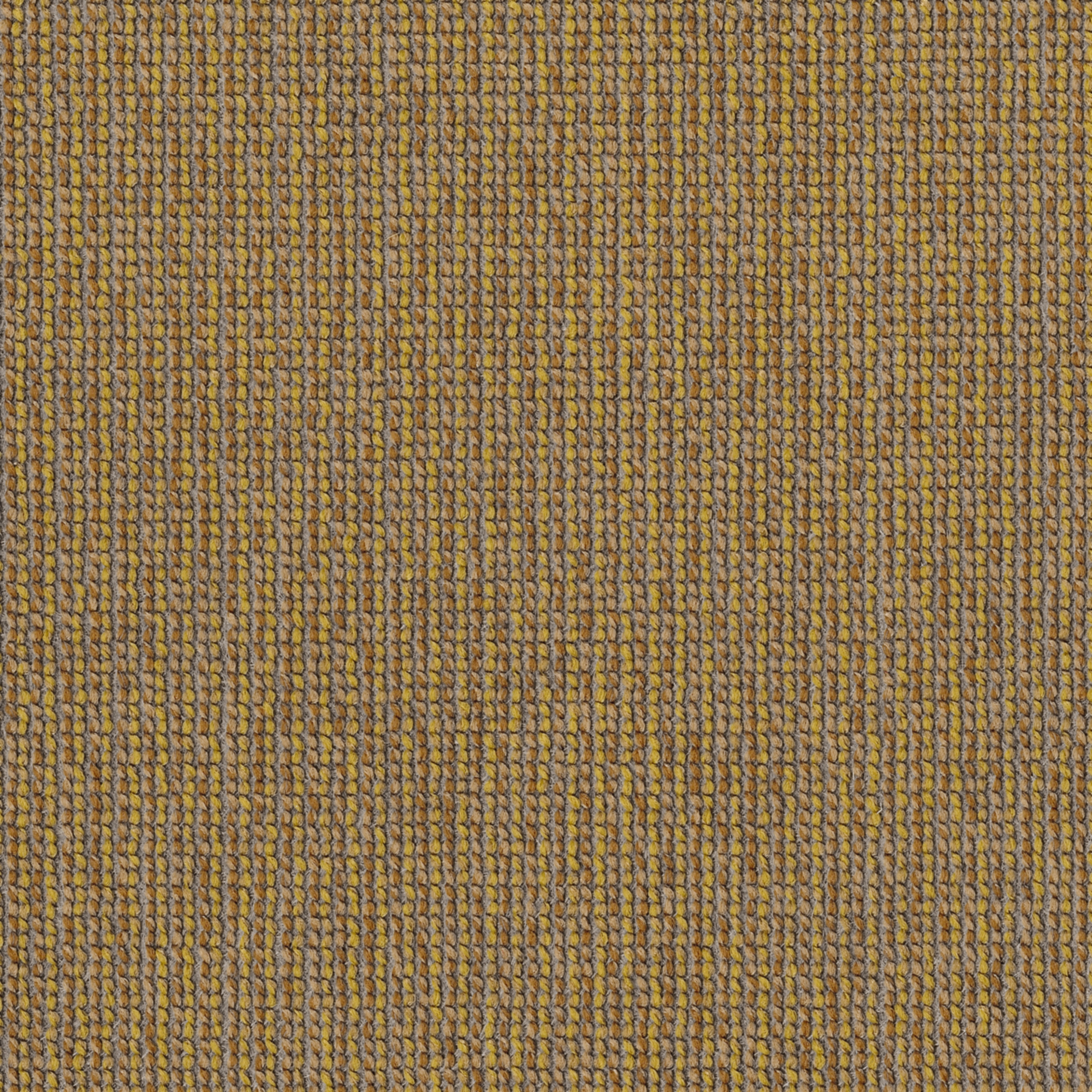 Verso