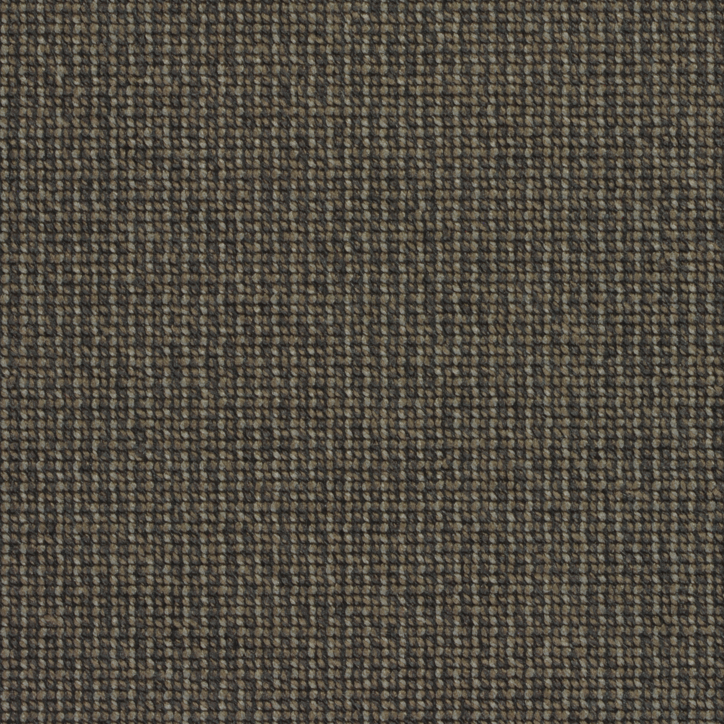 Verso