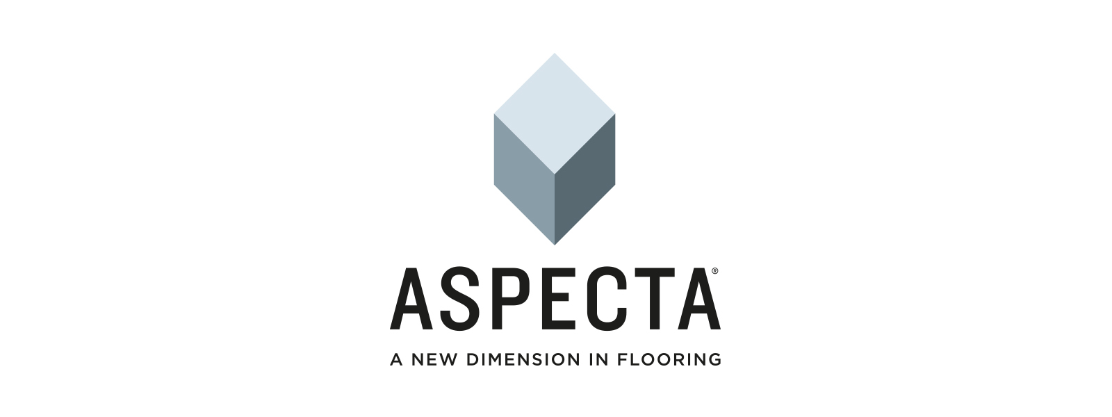 Logo for manufacturer Aspecta