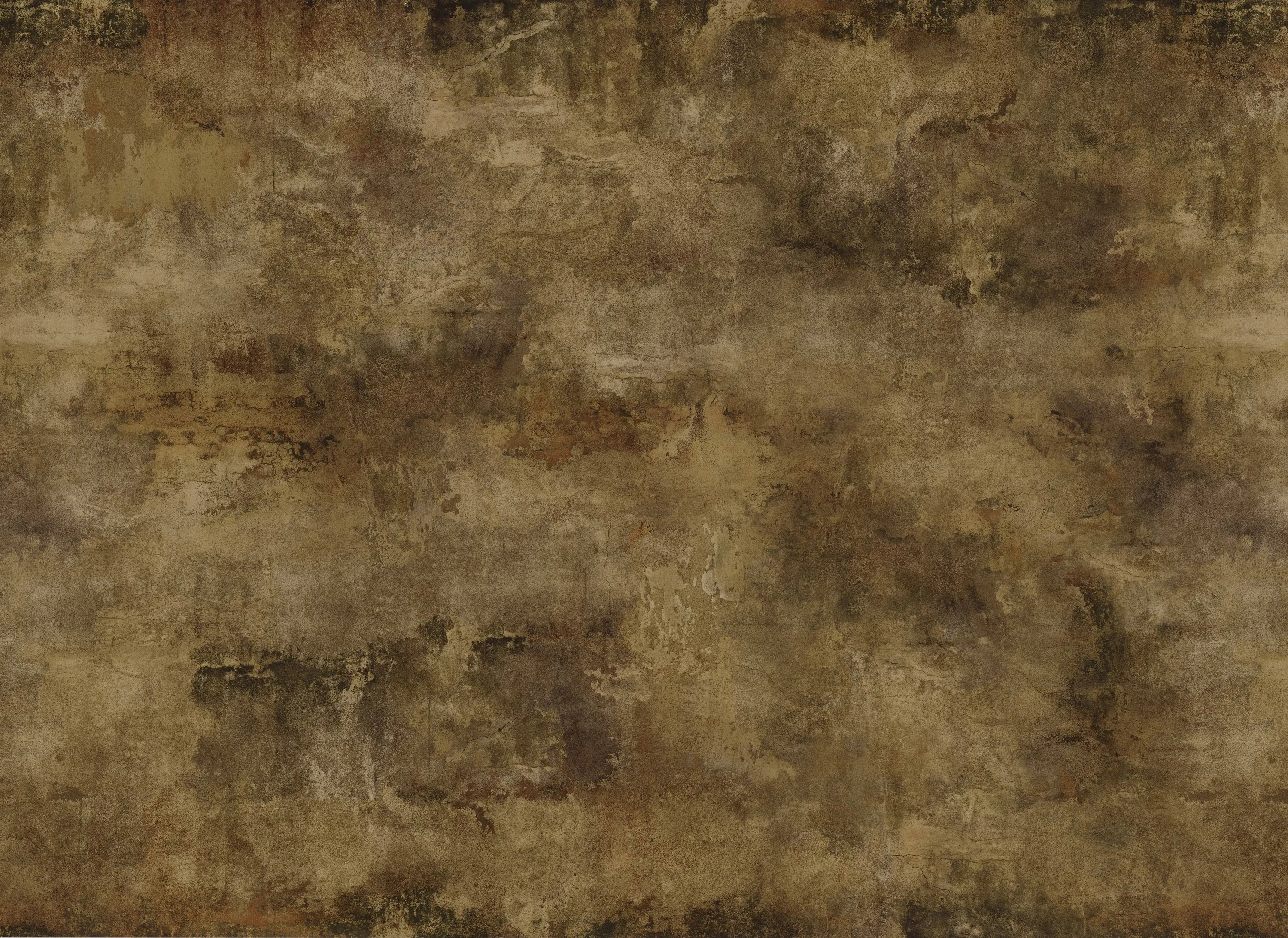 Aspecta - Adelina Stone - Sepia