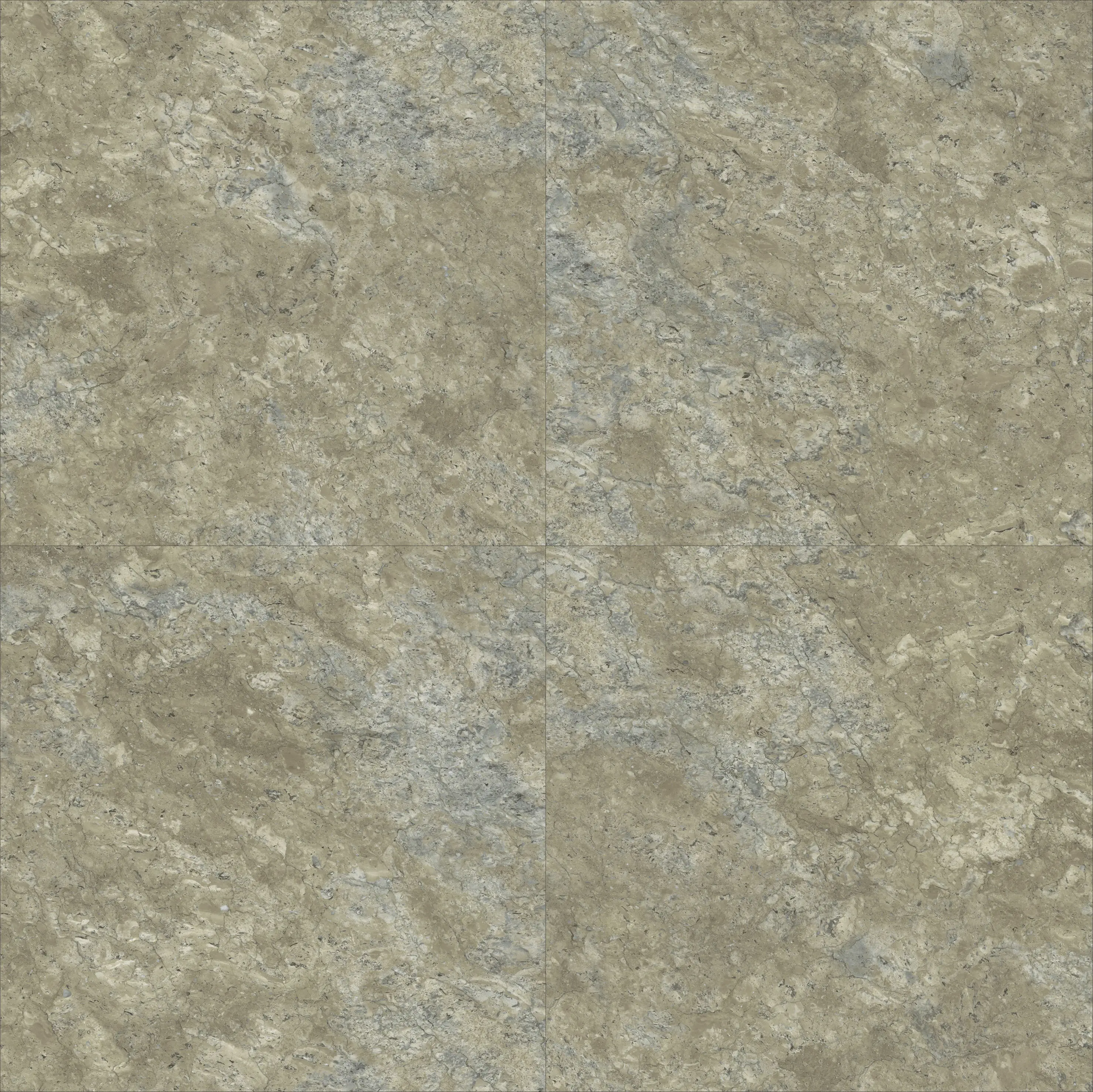 Aspecta - Pyrite - Lichen