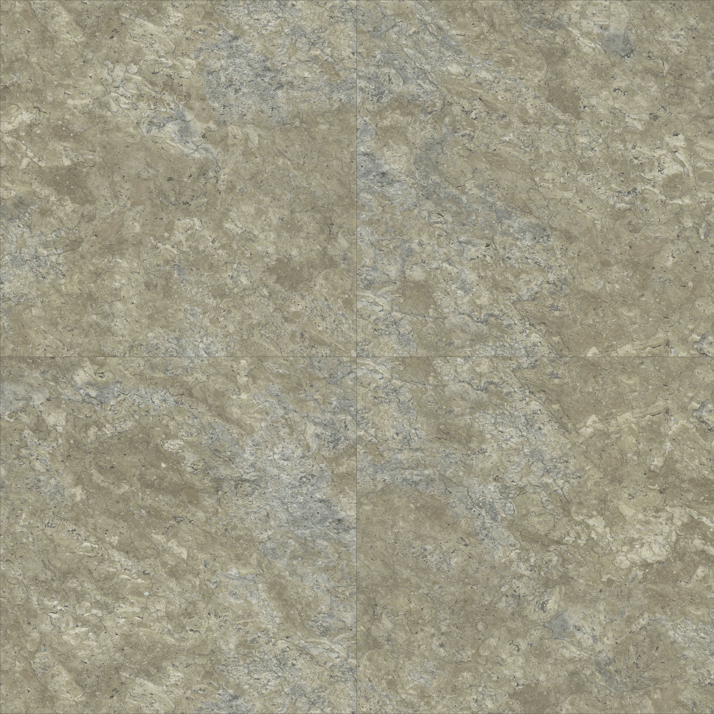 Display product Pyrite - Lichen from manufacturer Aspecta