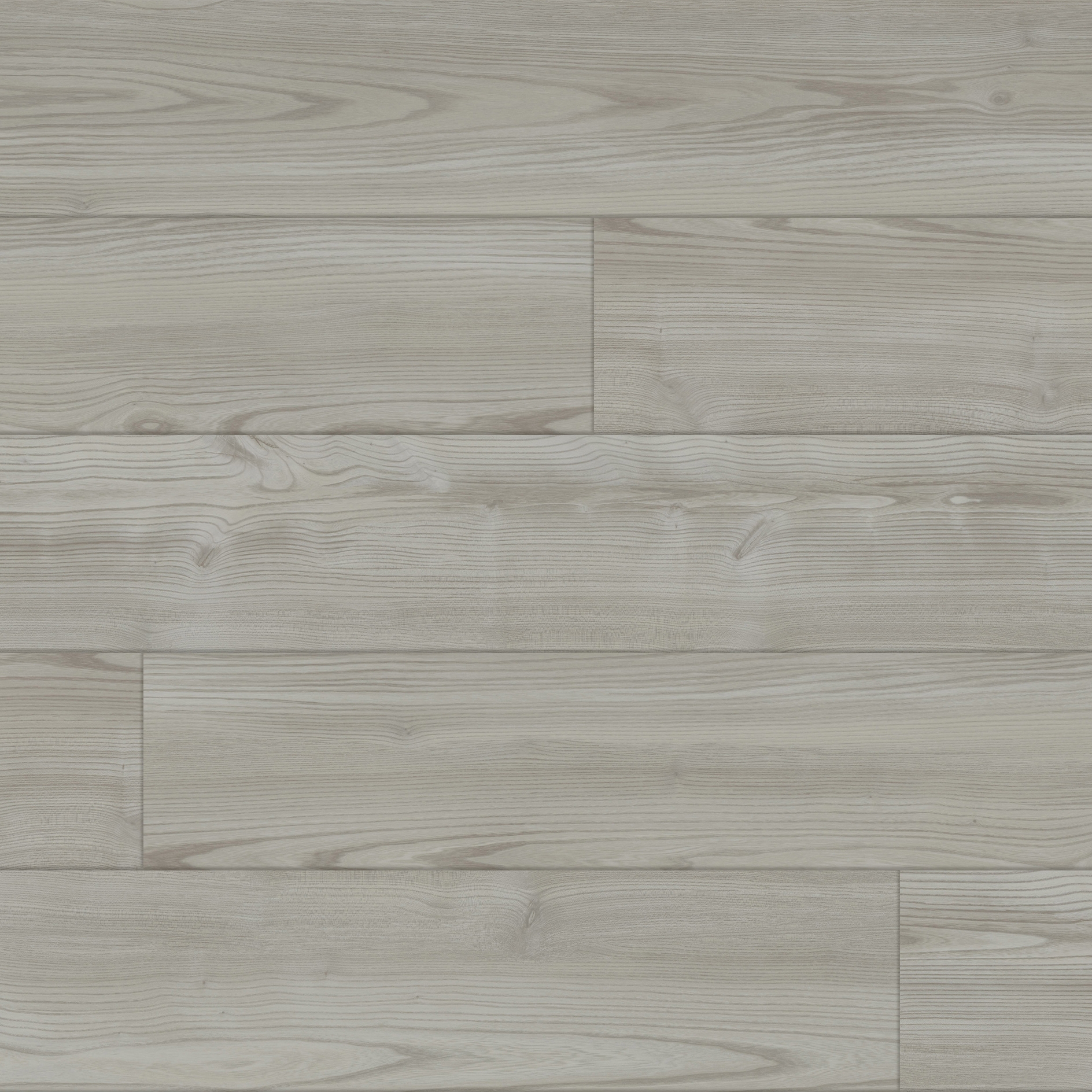 Melbourne Elm - Chalk