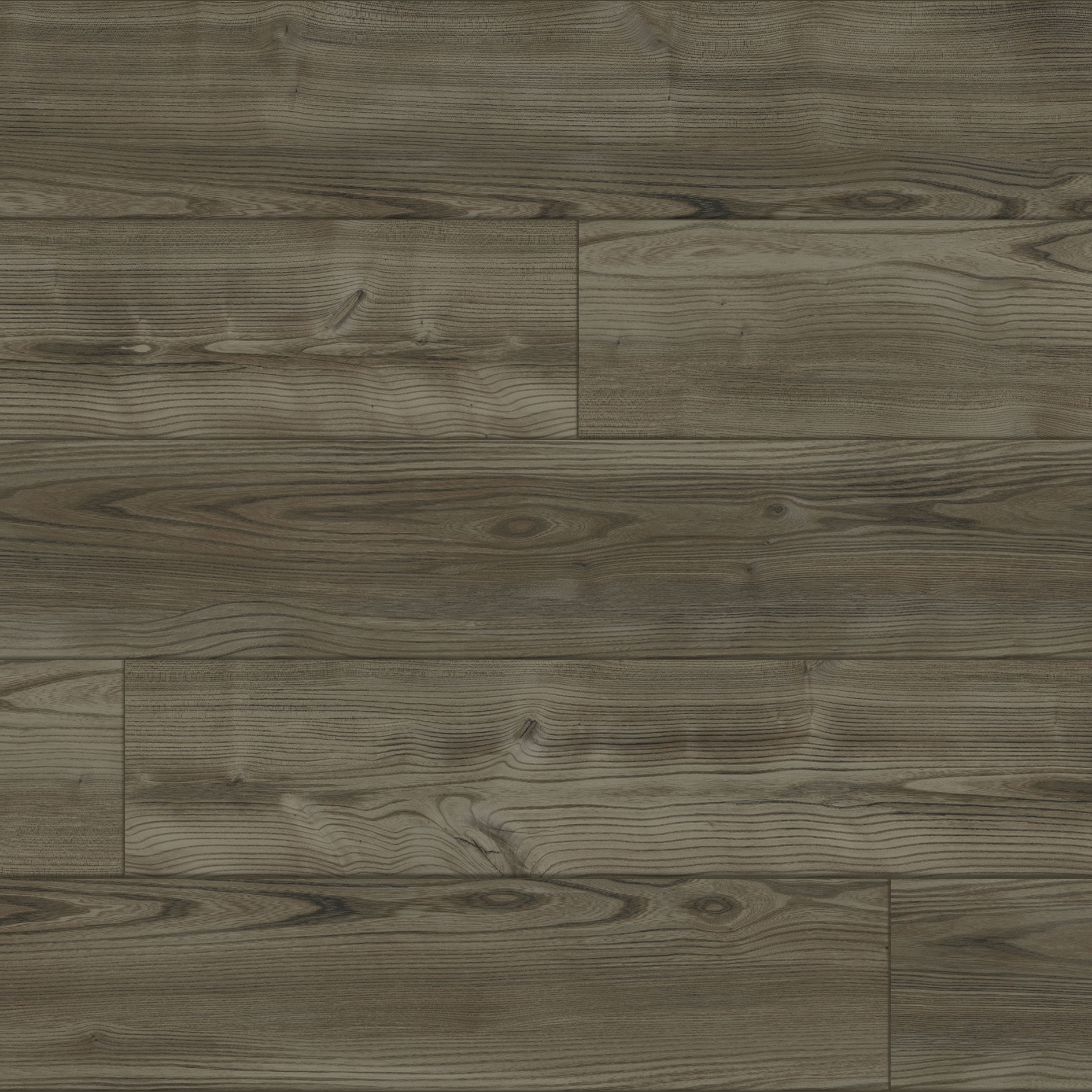 Melbourne Elm - Pearl