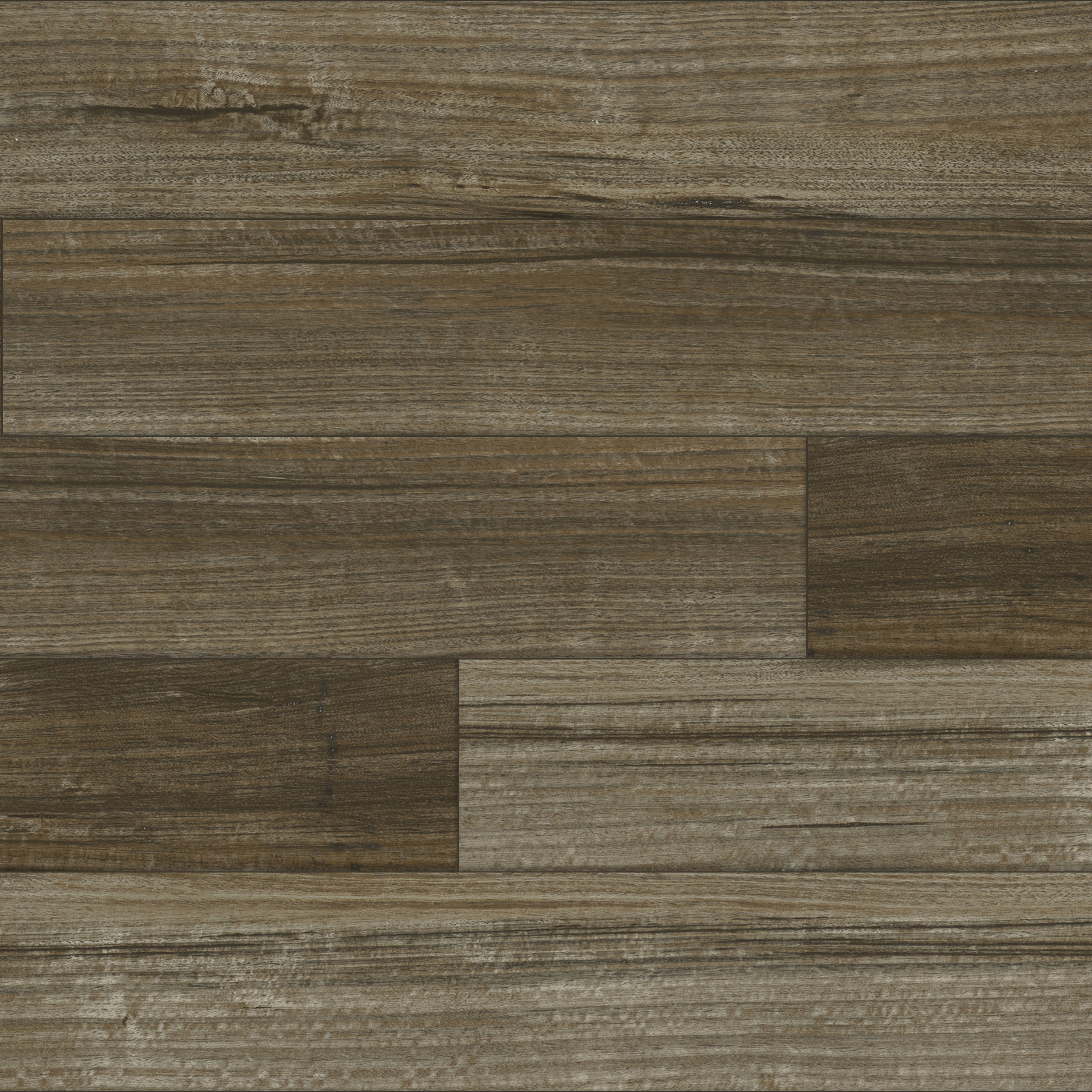 Spotted Gum - Dune