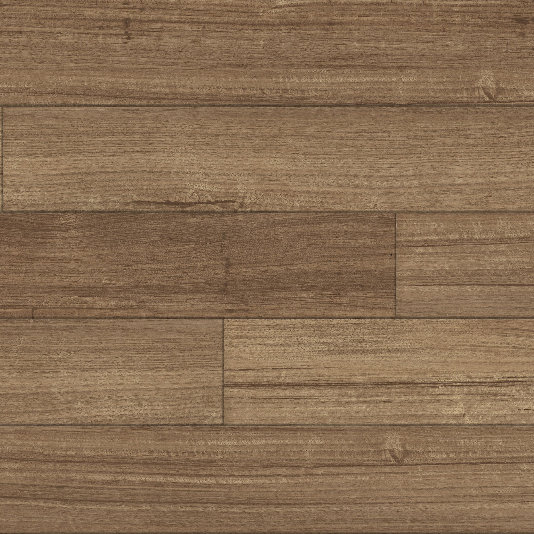 Spotted Gum - Sahara