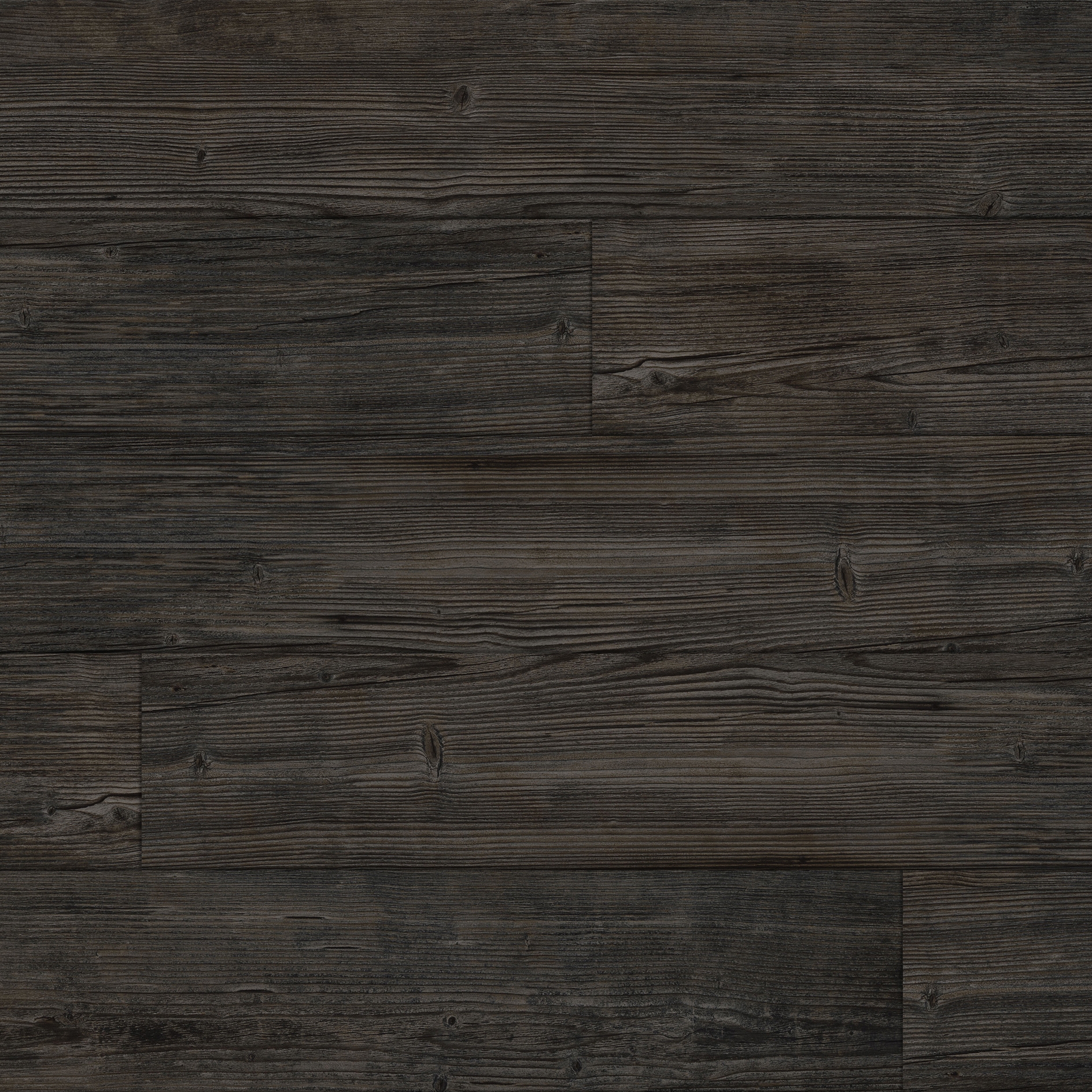 Summer Pine - Charcoal