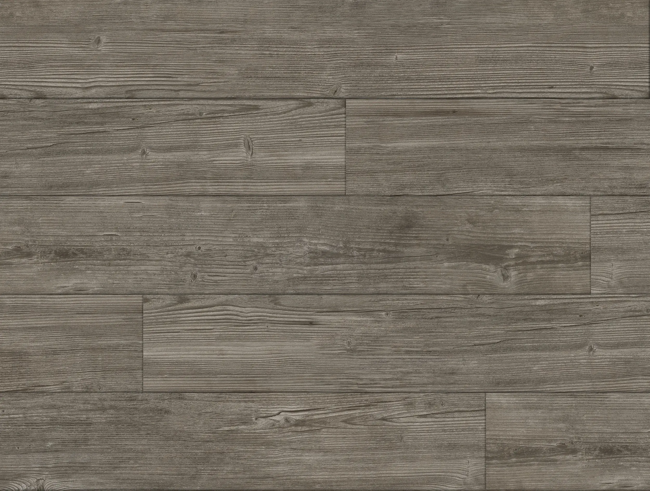 Aspecta - Summer Pine - Driftwood