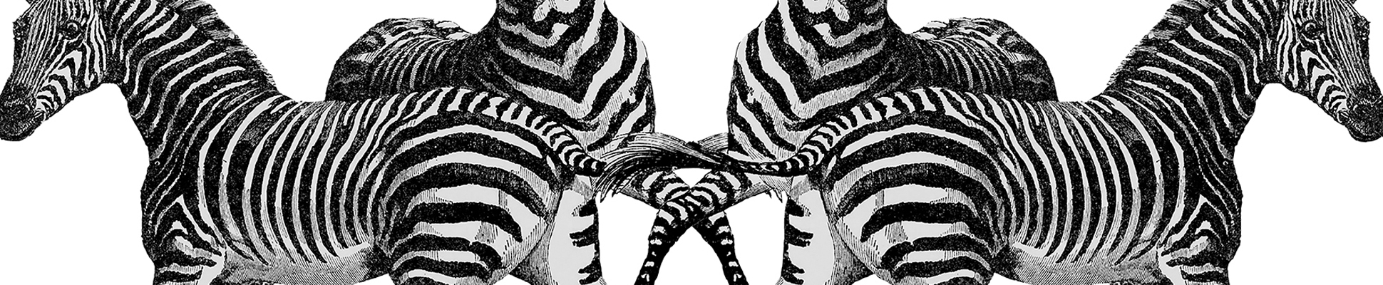 Scopri il mondo del produttore Tenue de Ville