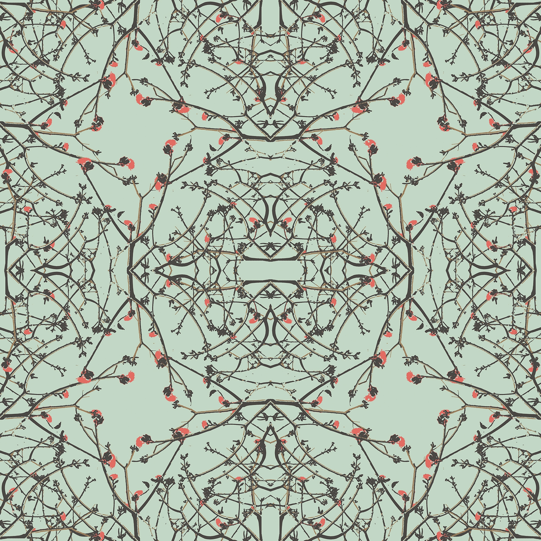 Zia - Riviera