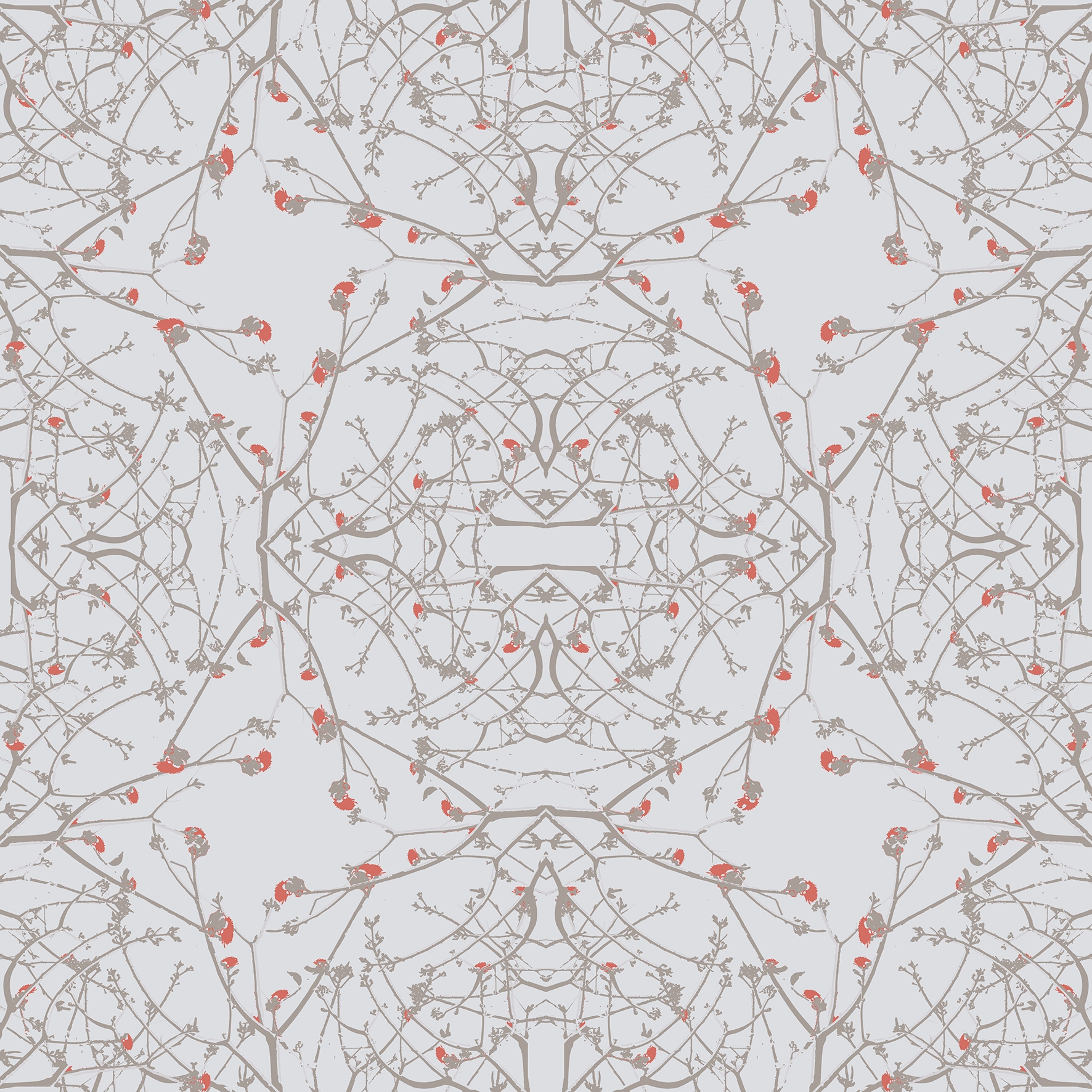 Zia - Ivory
