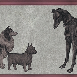Canis - Raspberry