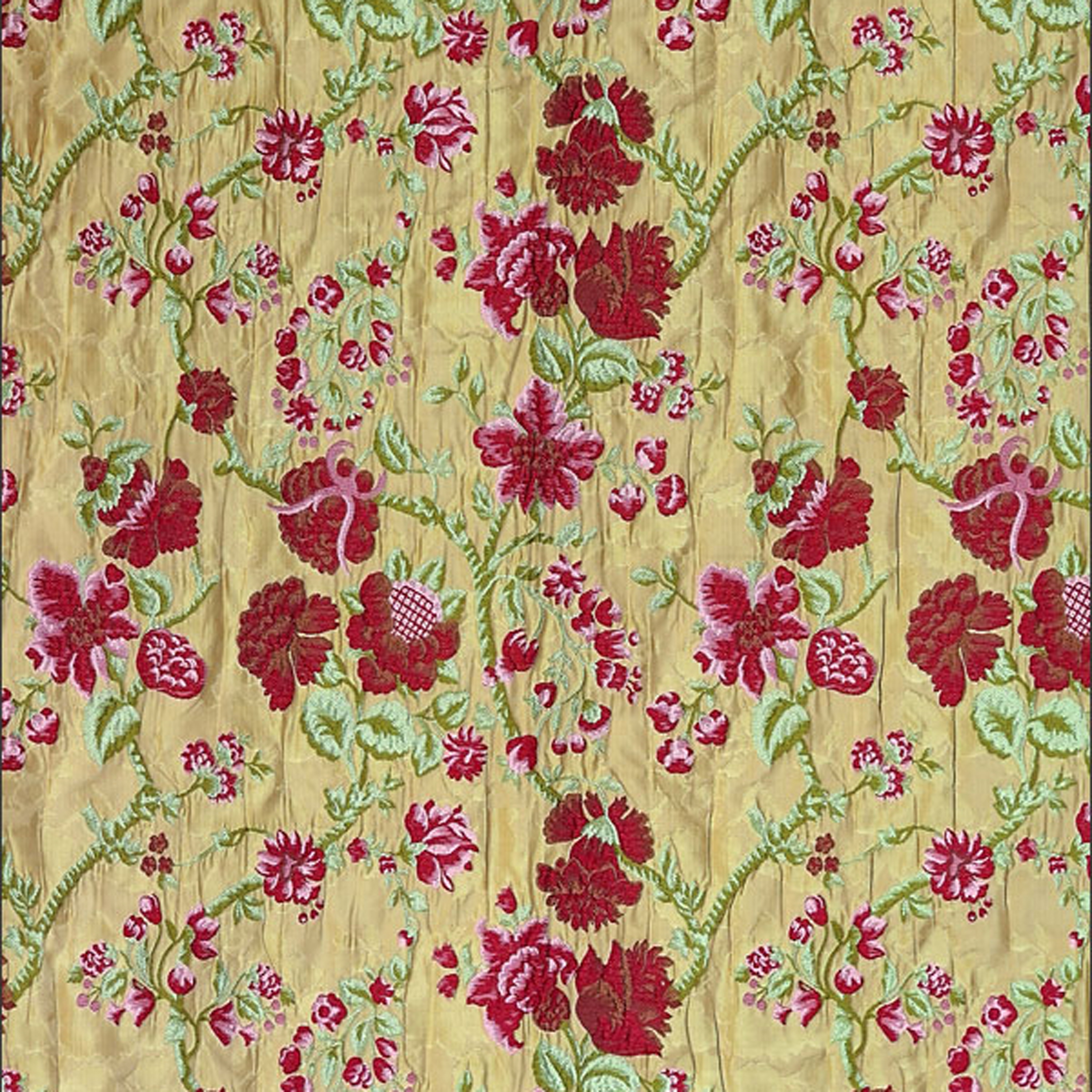 Cistus CC | 50005