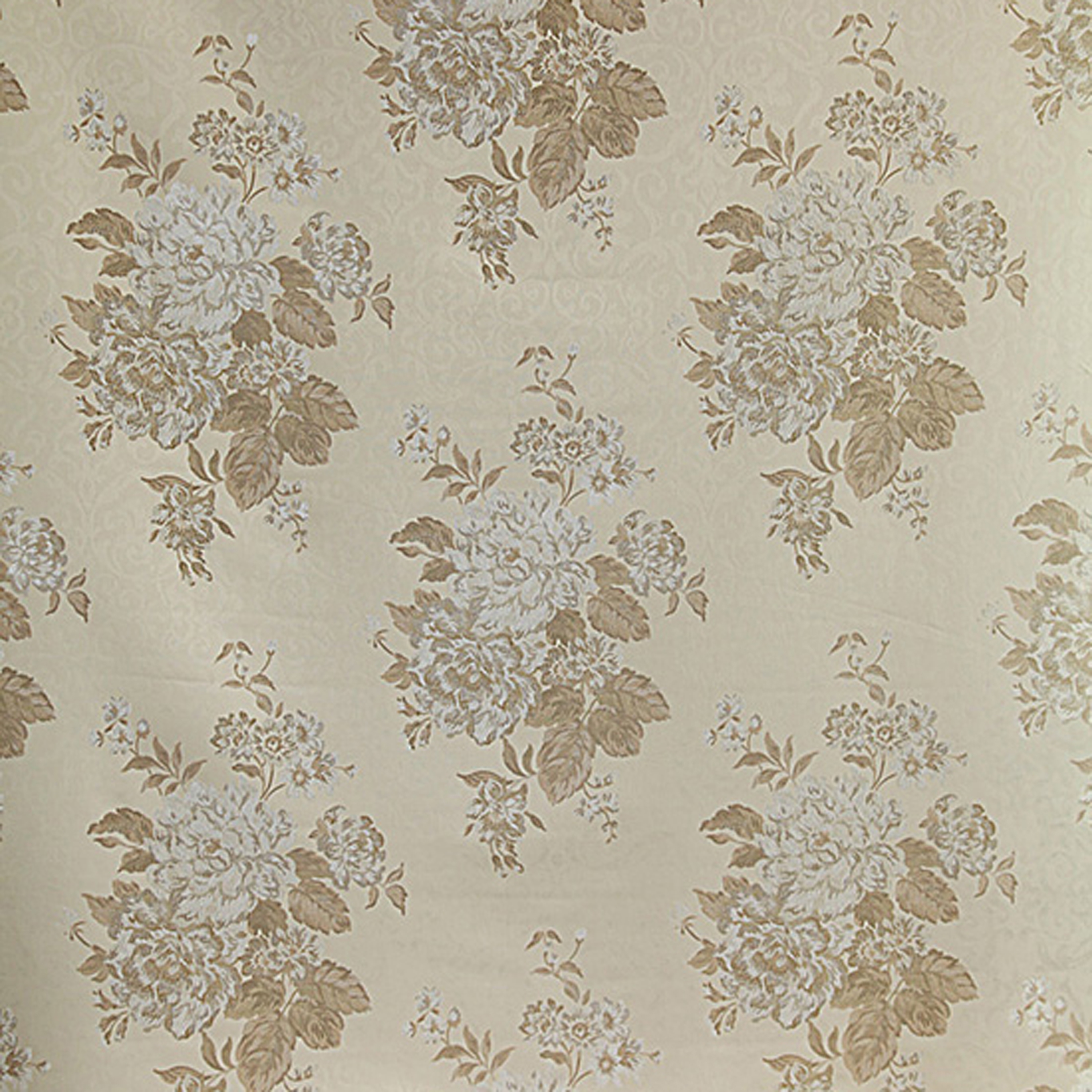 Fagus CC | 50058