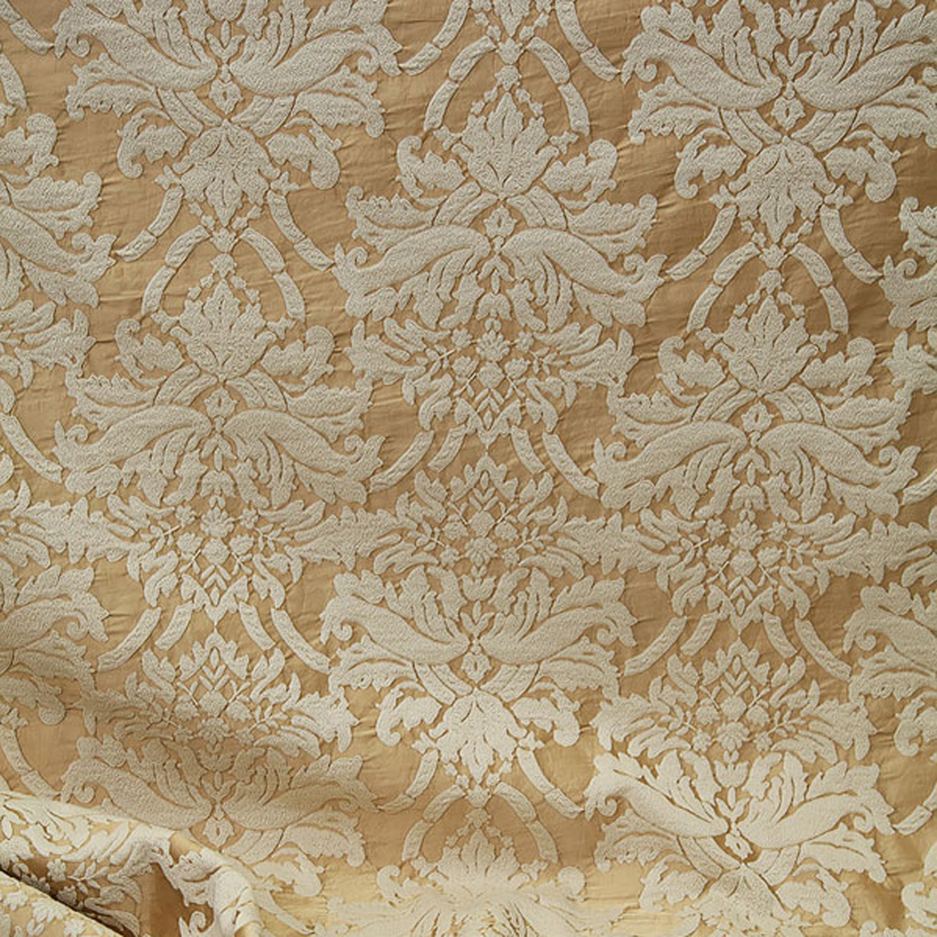 Tilia CC | 50080