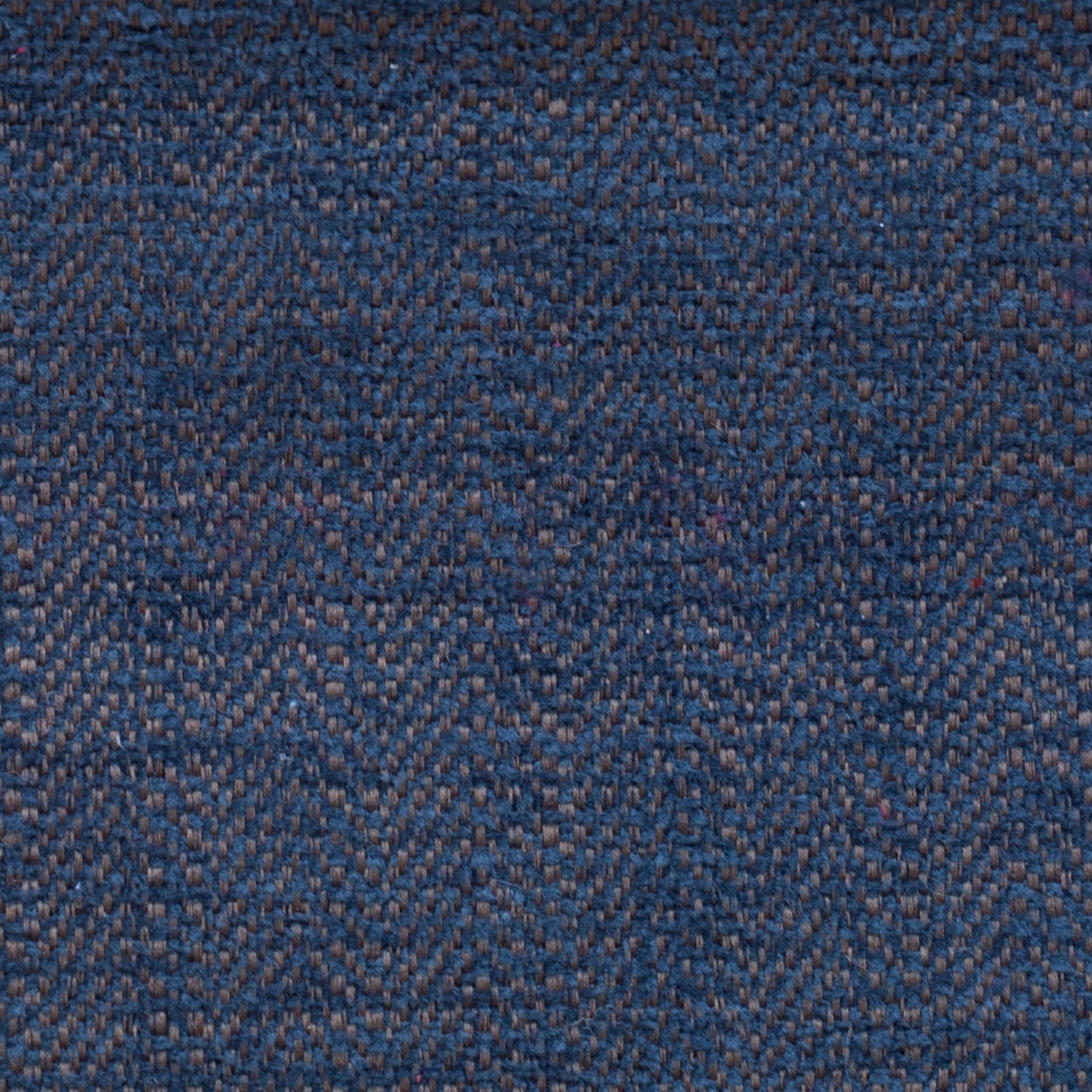 Ancona | 17302
