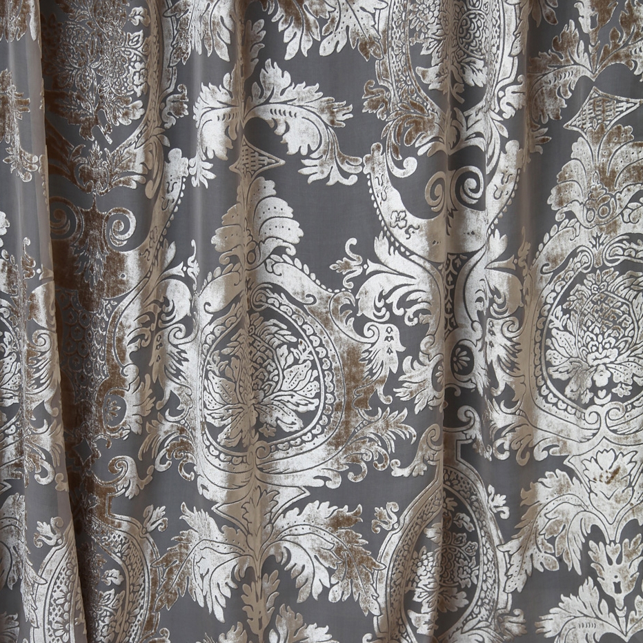 Camelia CC | 50103