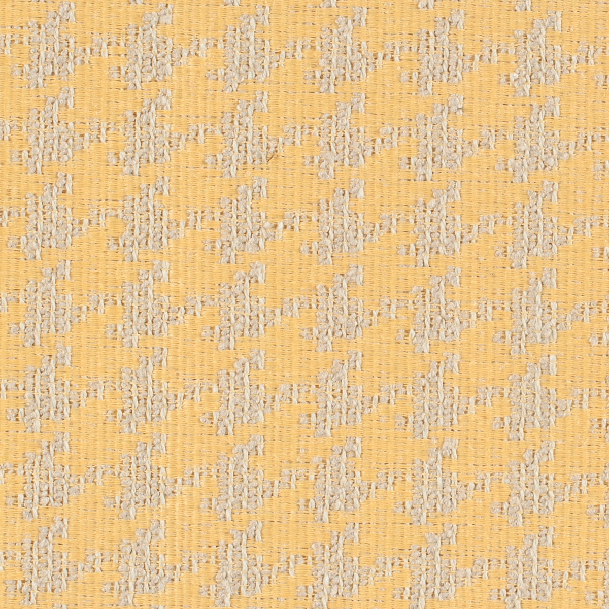 Ethan | 17353