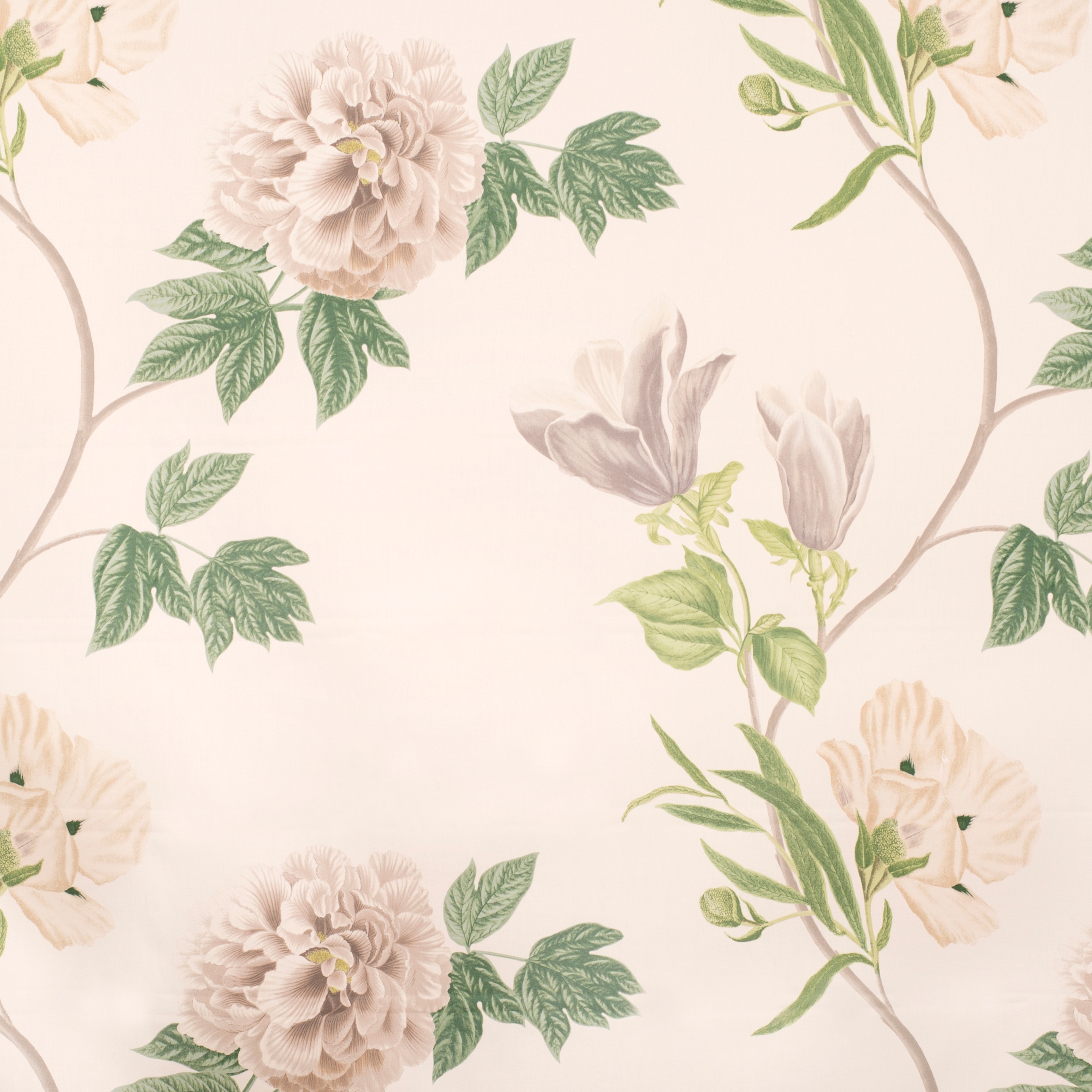 Afficher le produit Magnolia | 16405 du fabricant Dörflinger & Nickow