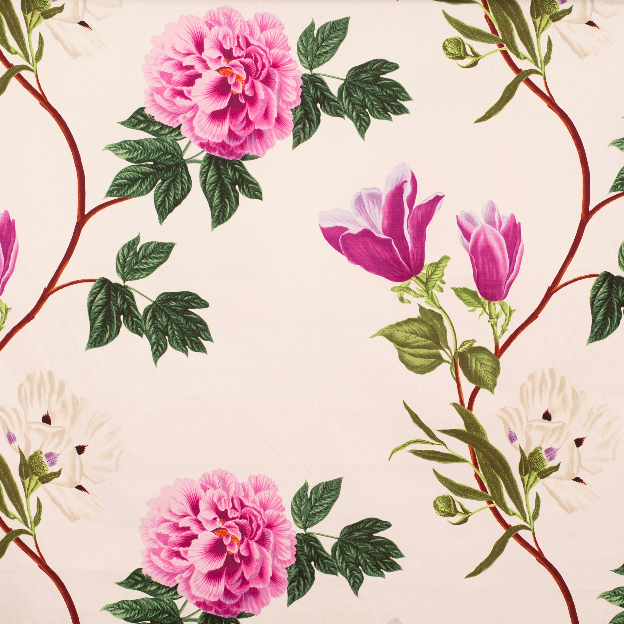 Magnolia | 16406