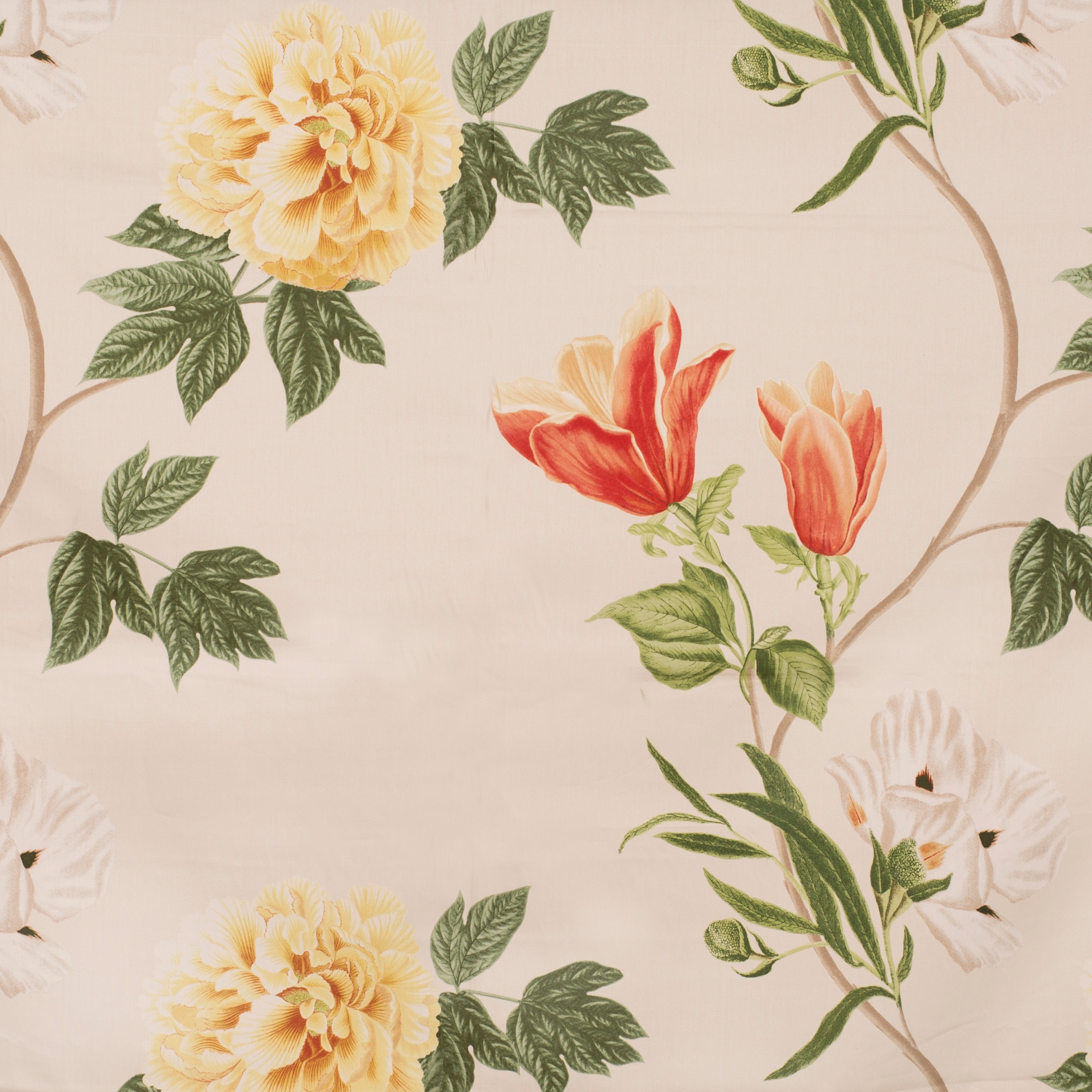 Magnolia | 16407