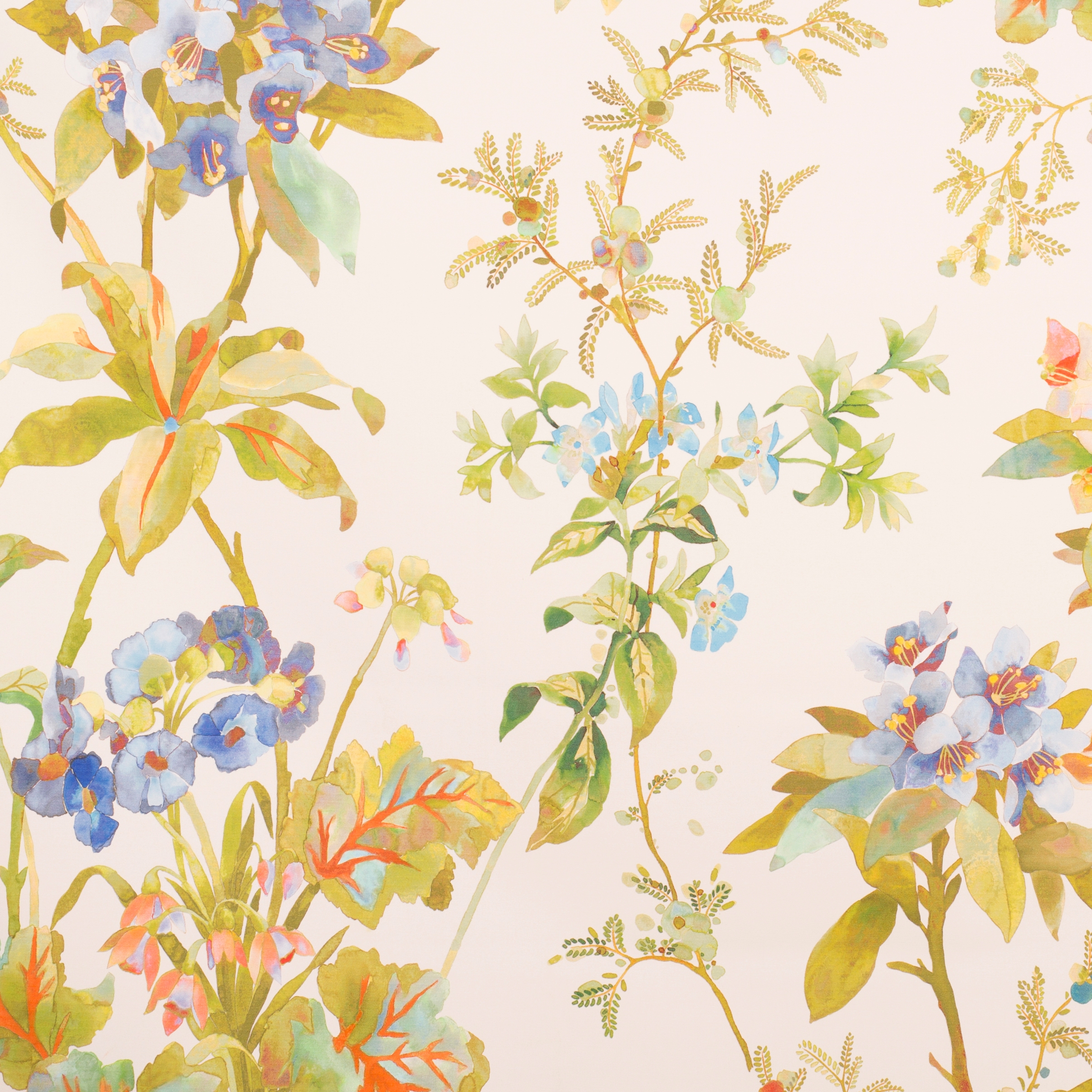 Rhododendron | 14716