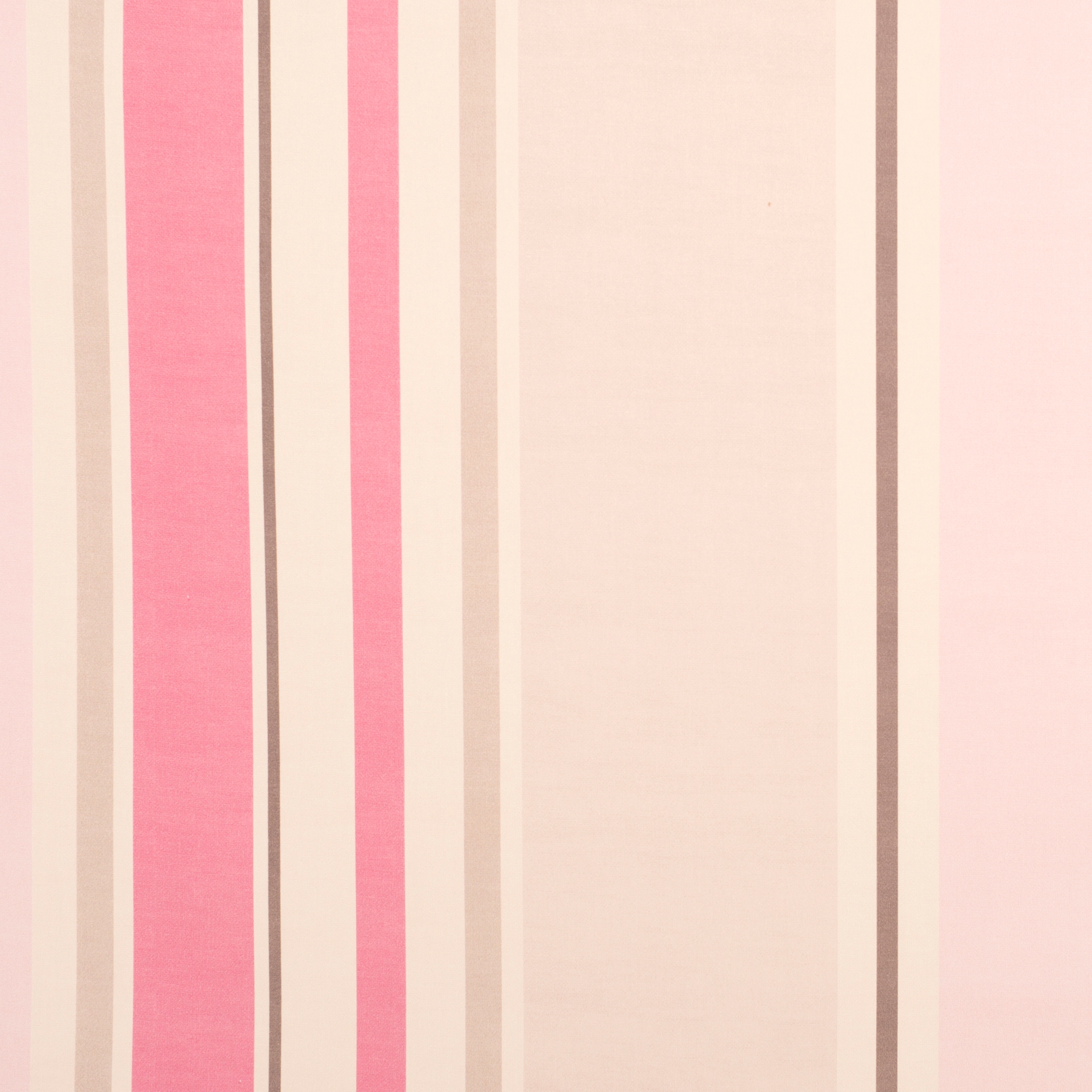 Ribbon | 16031