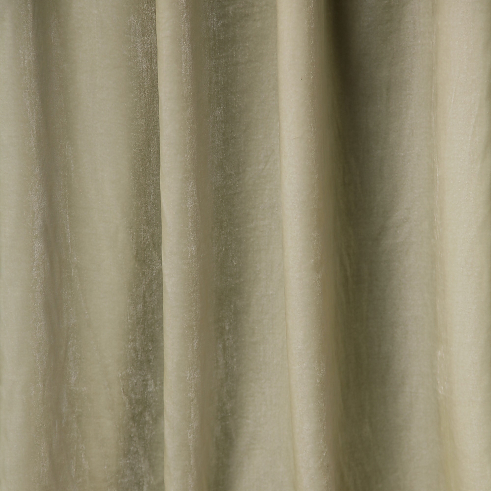 Salix CC | 50108