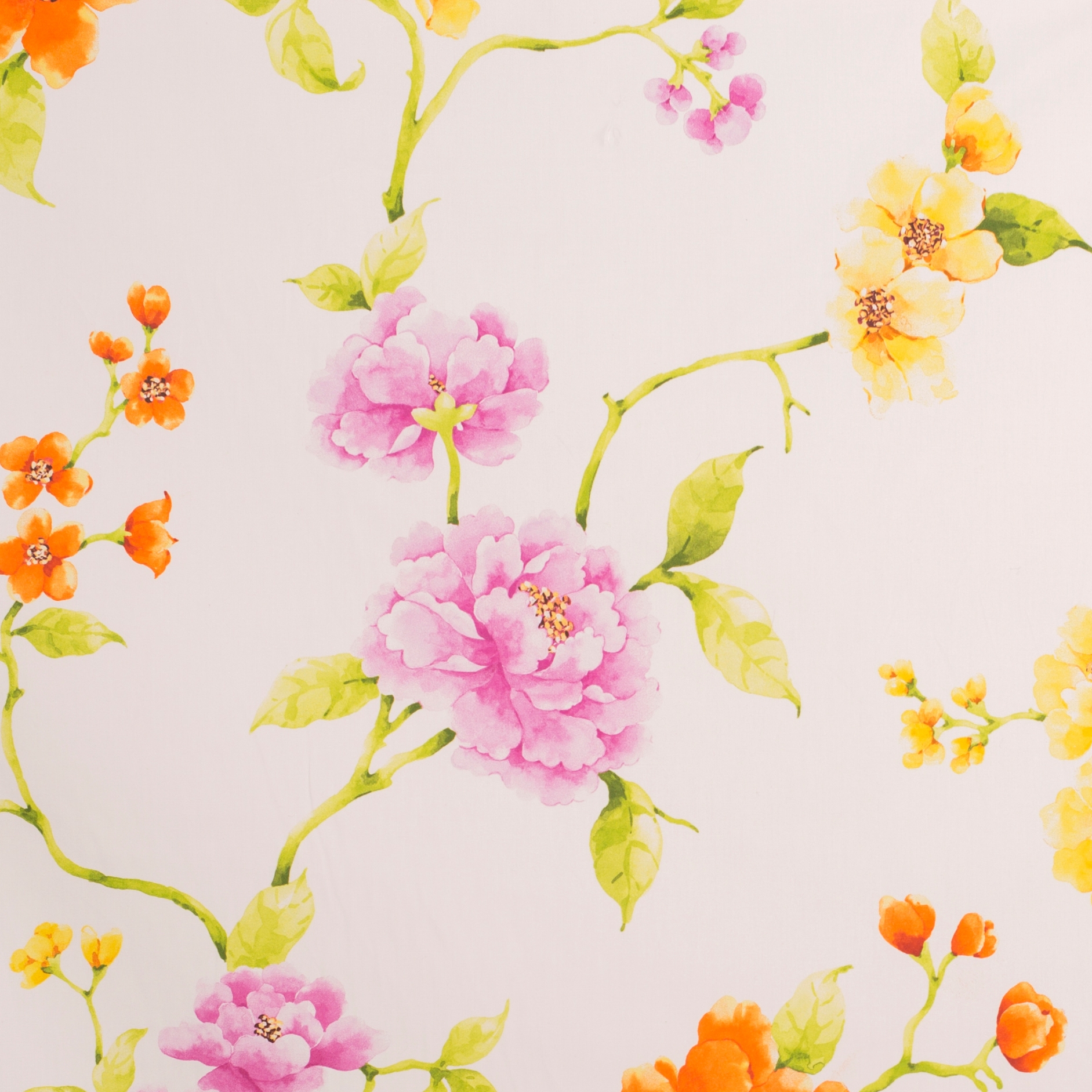 Display product Tearoses | 15728 from manufacturer Dörflinger & Nickow