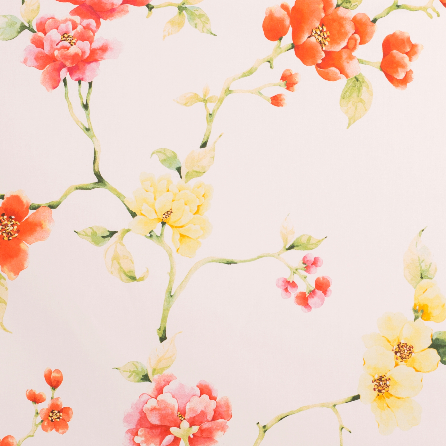 Tearoses | 15729