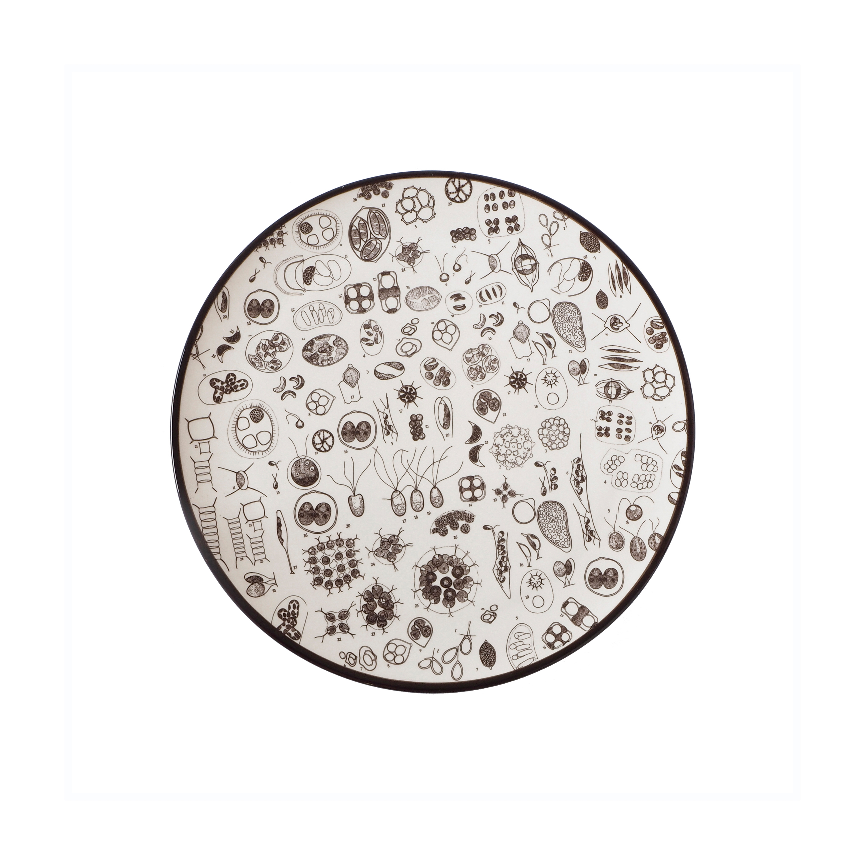 Display product Laguna from manufacturer Portego