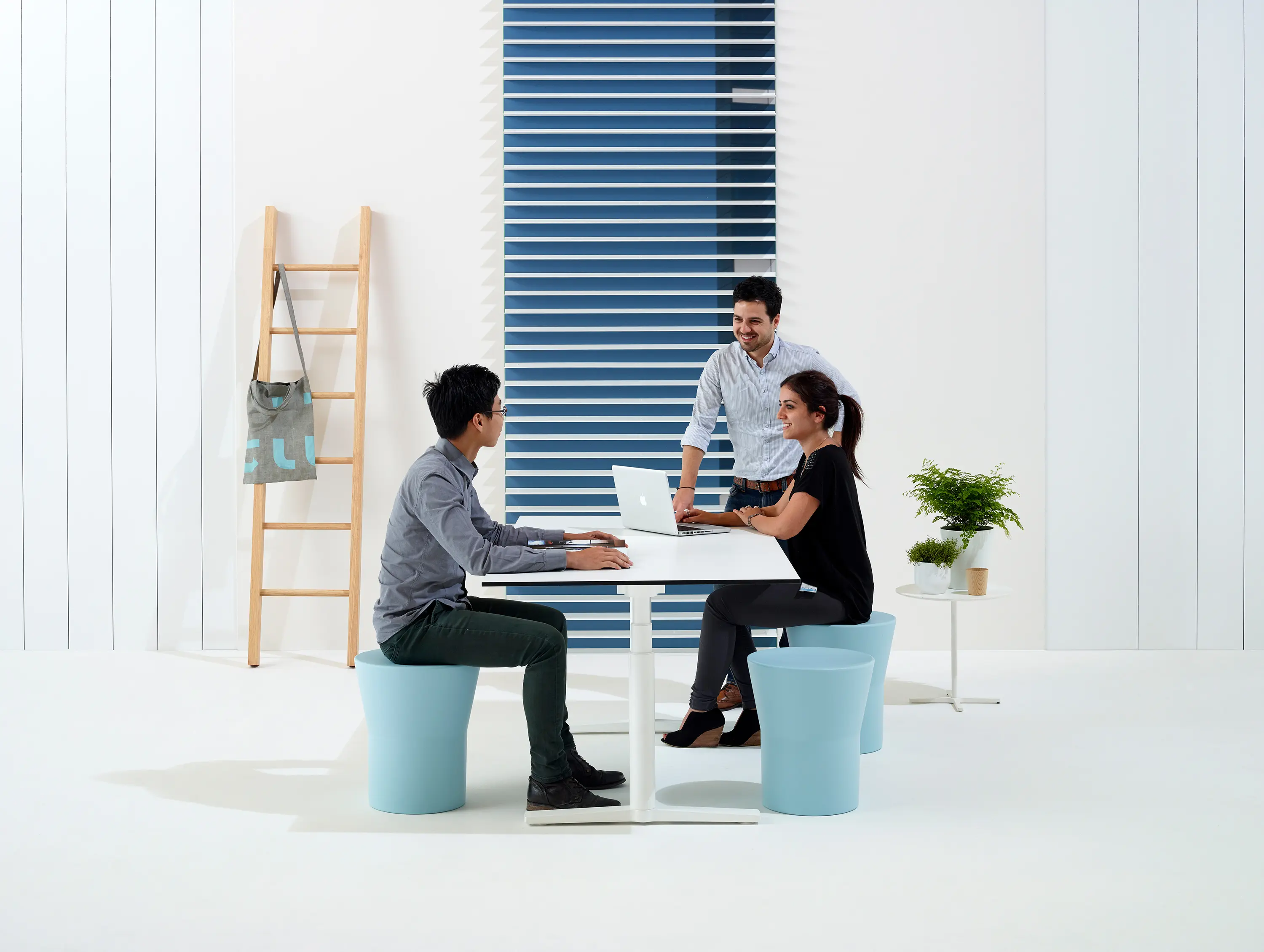 Schiavello International Pty Ltd - Tom Stool