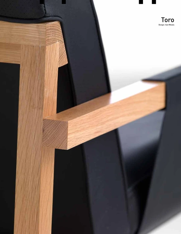 Imagen de vista previa del archivo Toro