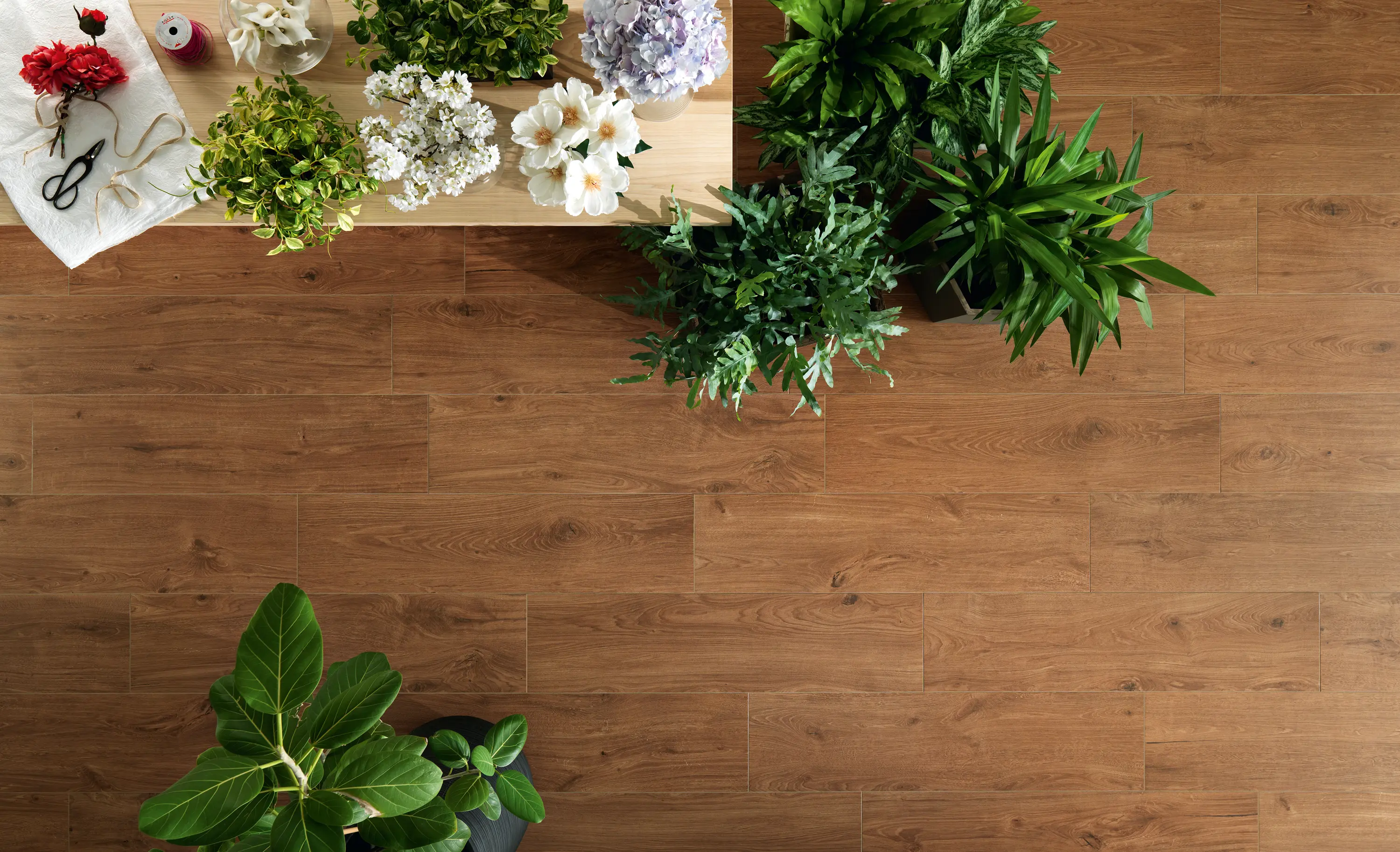 Novabell - Artwood | Maple