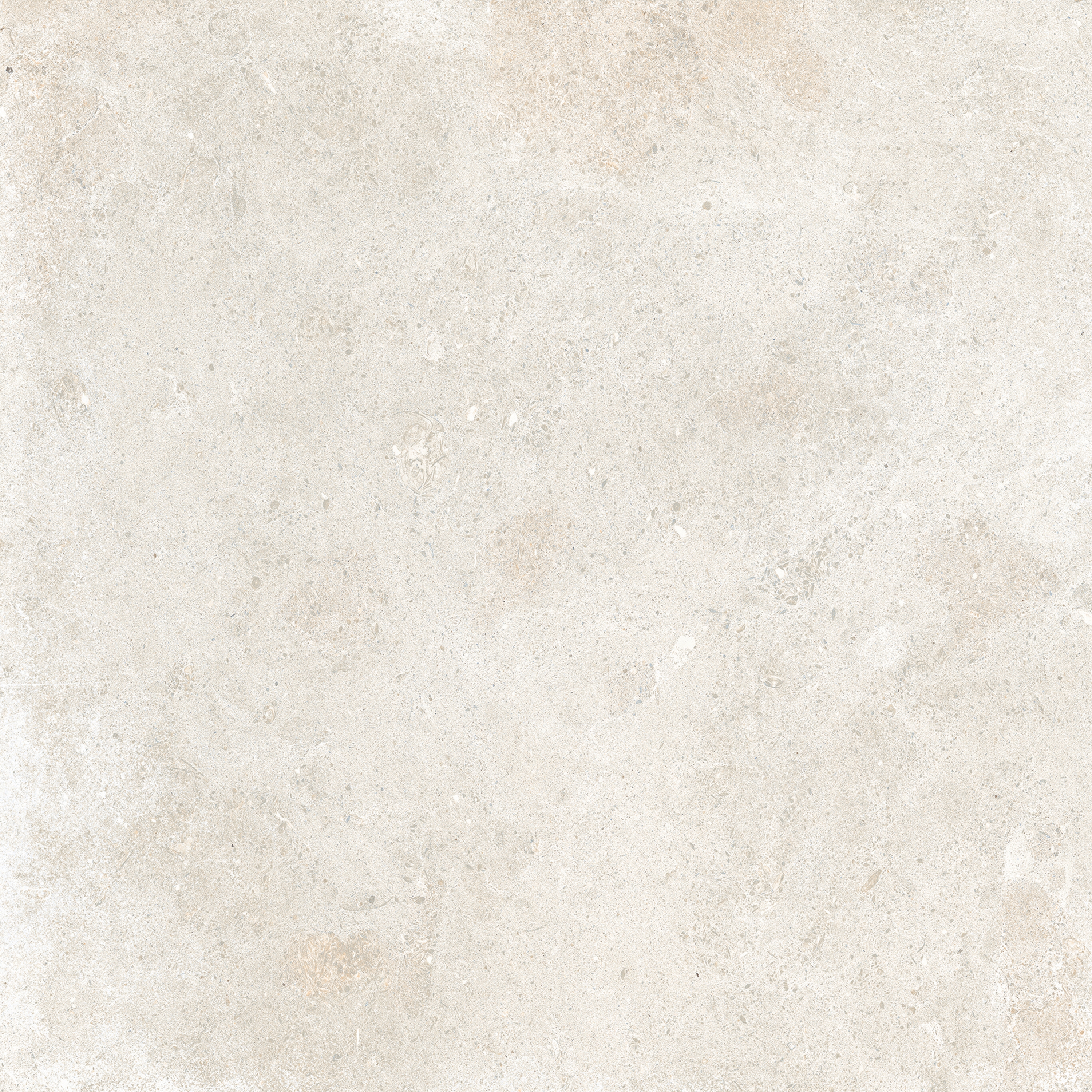 Sovereign | Avorio
