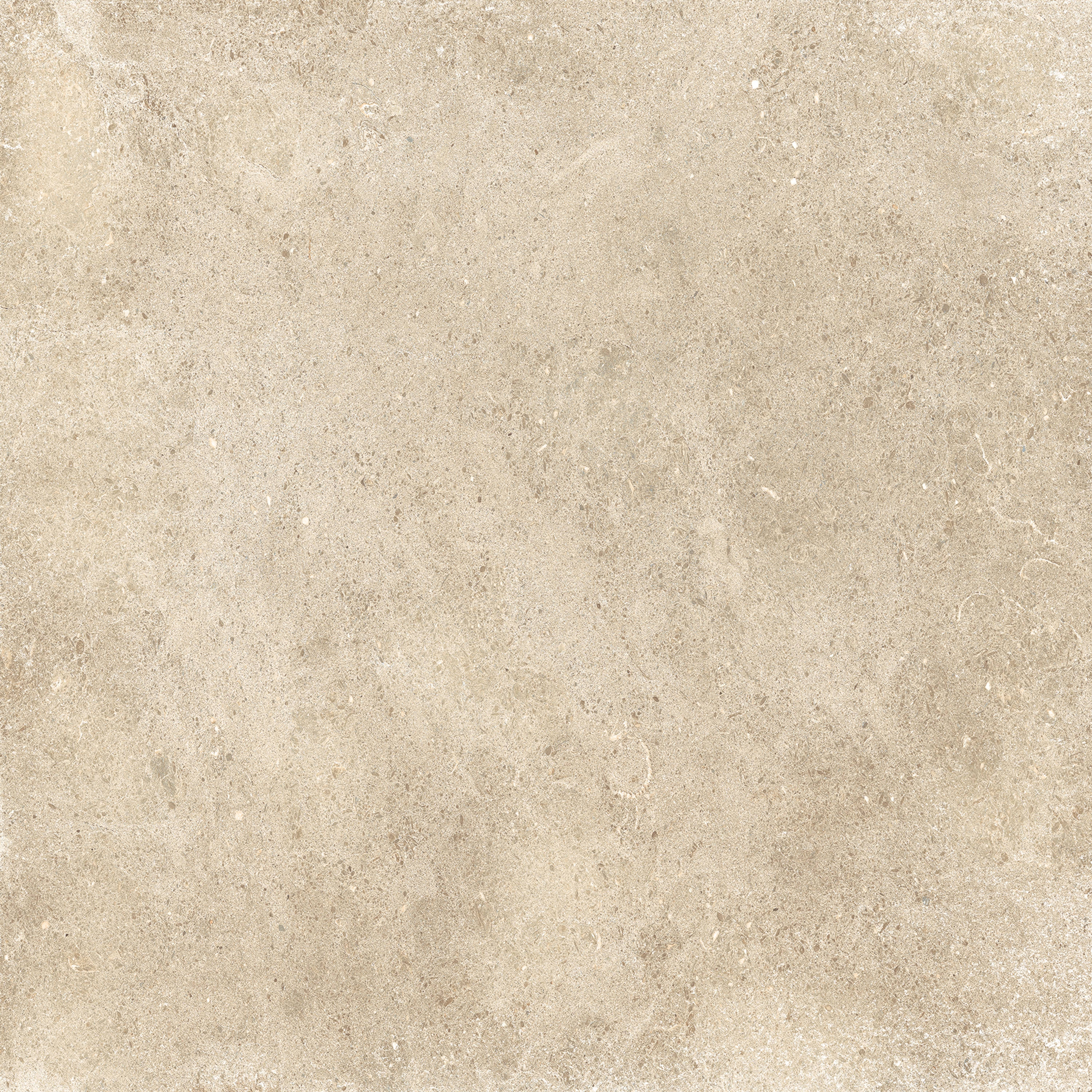 Sovereign | Beige