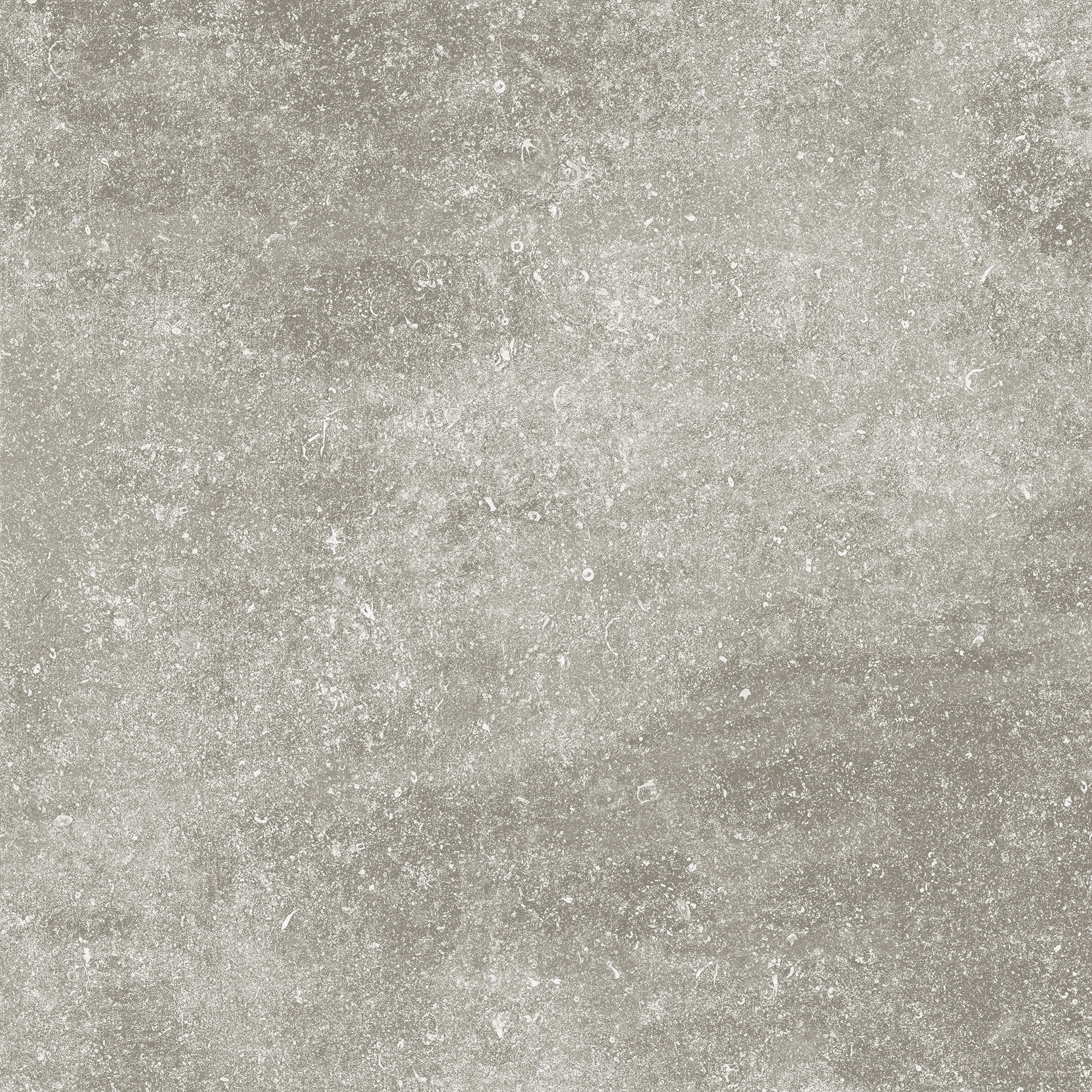 Kingstone | Platinum