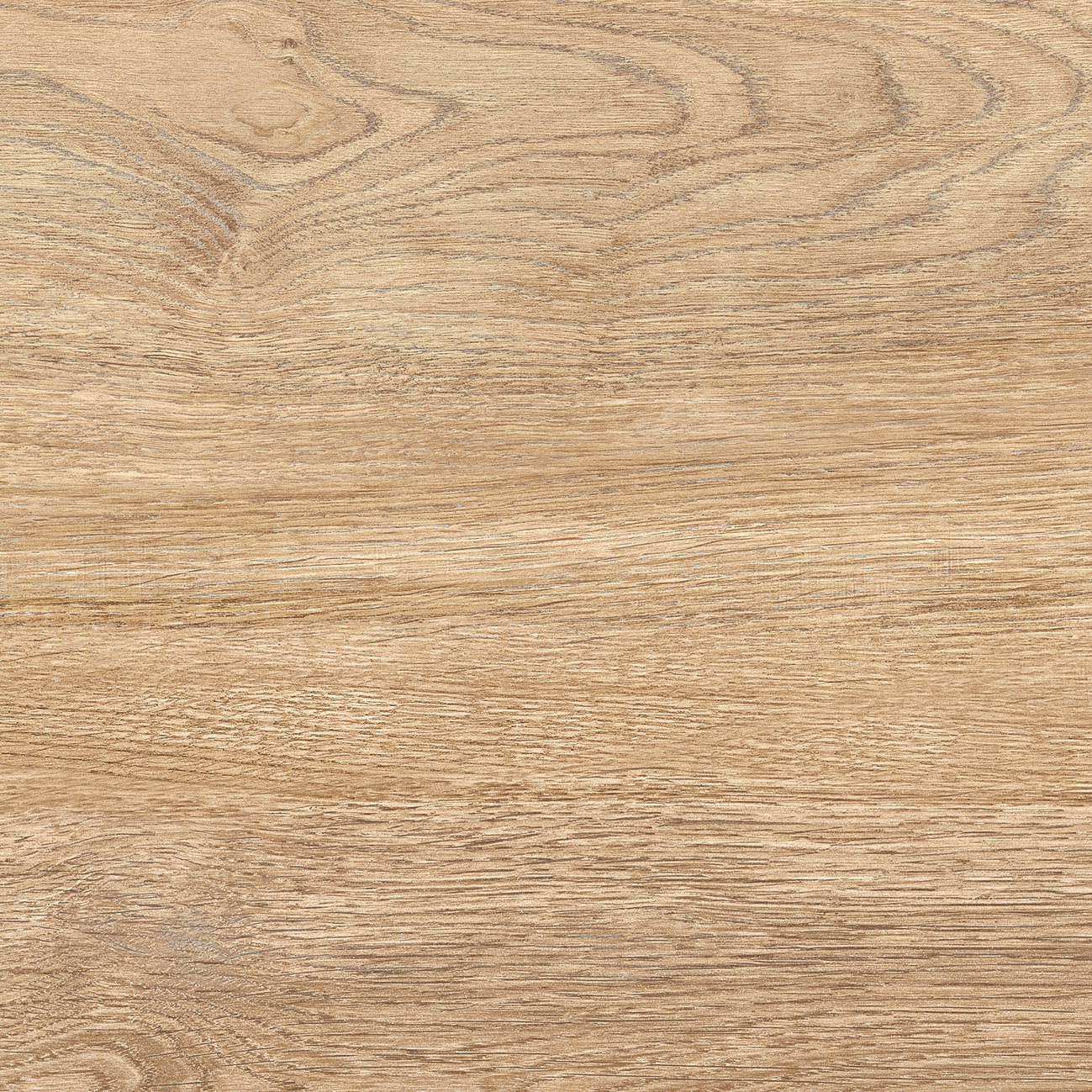 Quercus | Rovere