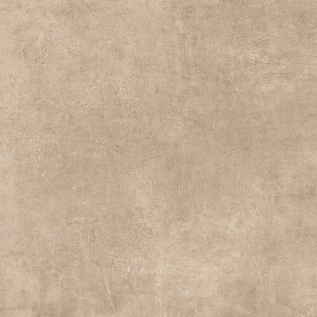 Open | Tortora