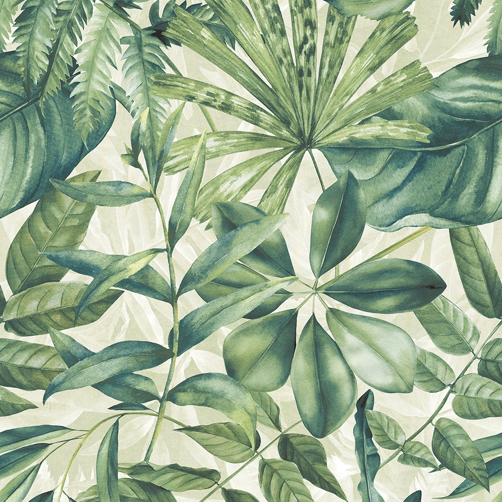 Wonderspace | Exotic Naturale