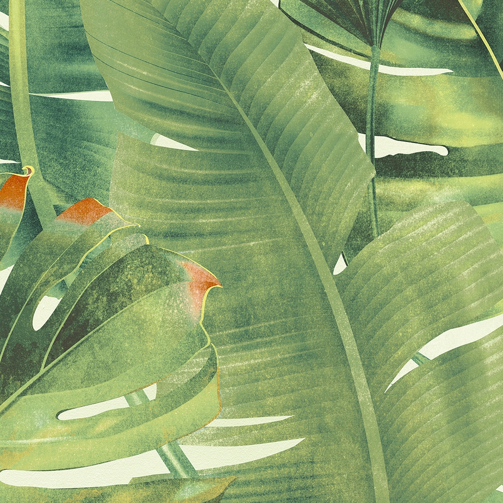 Wonderspace | Tropical