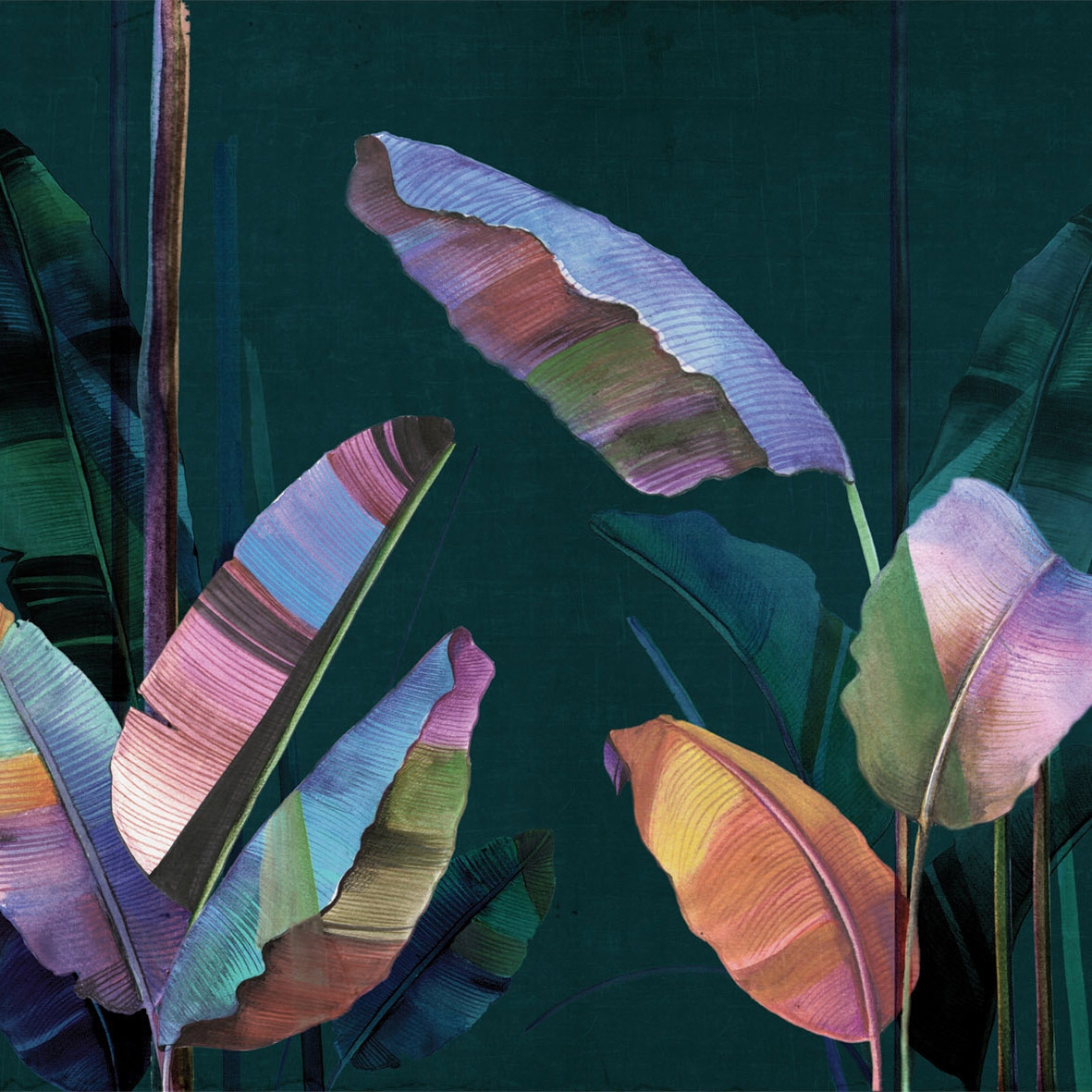 Feuilles