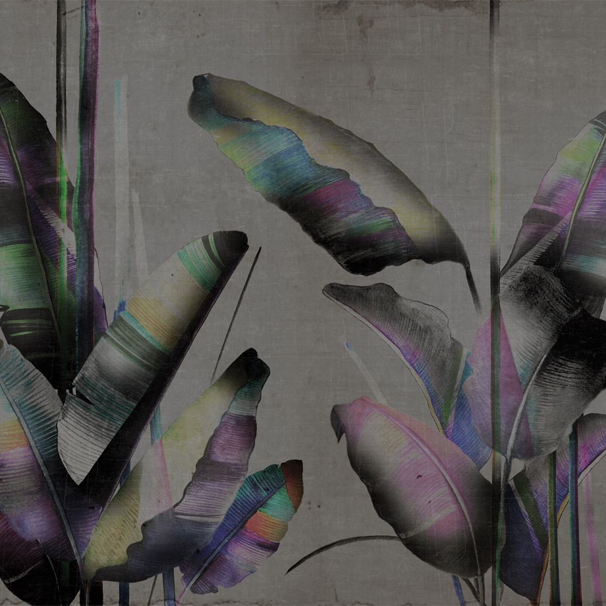 Feuilles