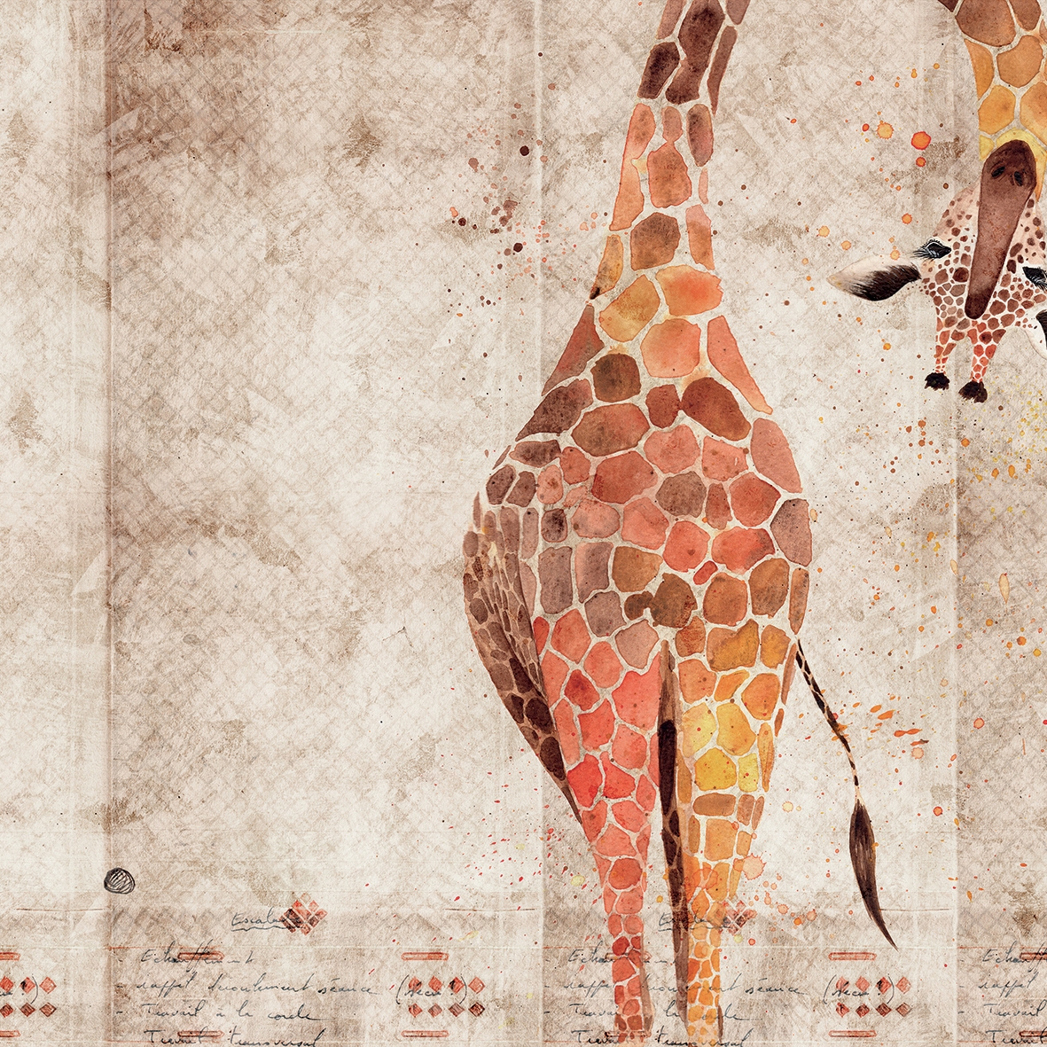 Zoo