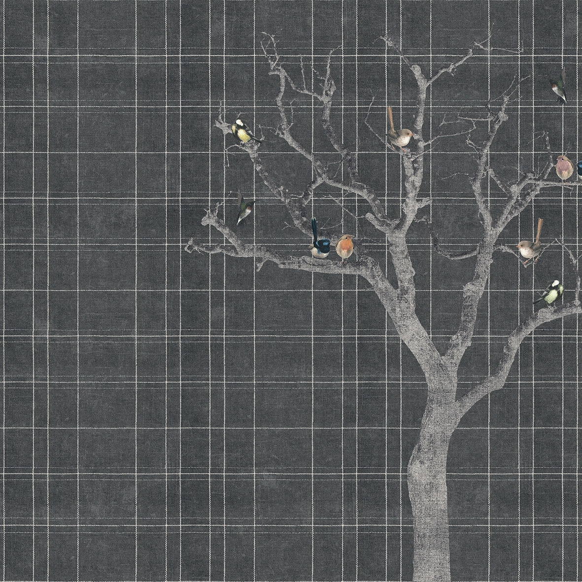 The Birds