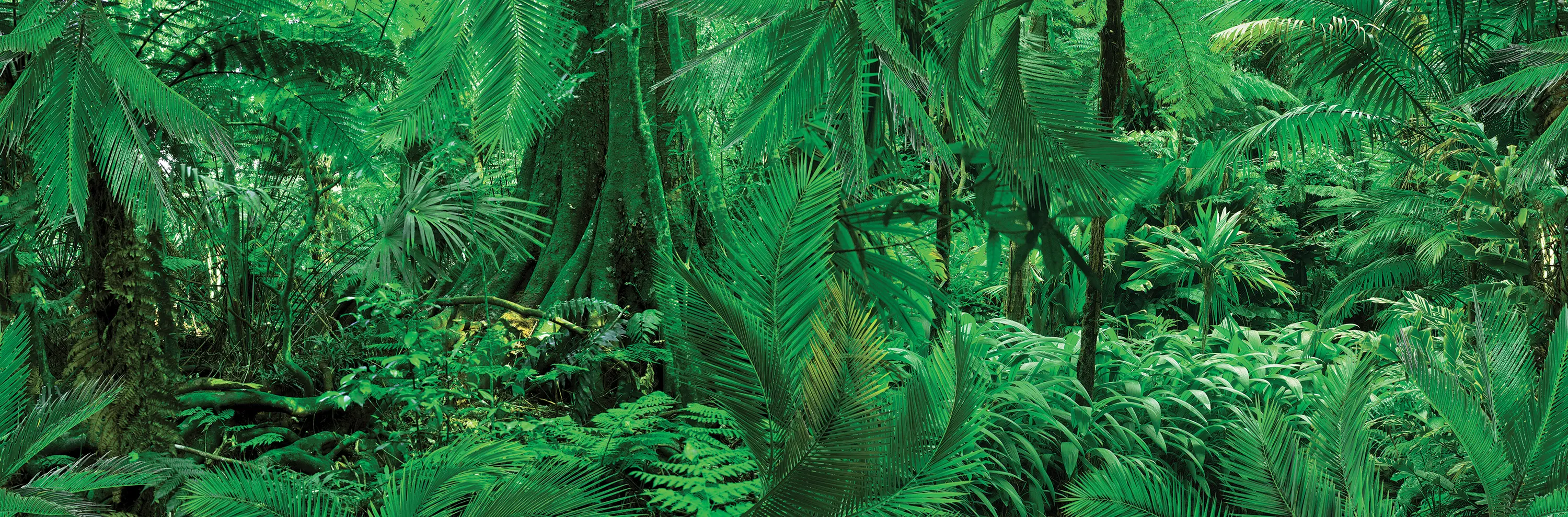 LONDONART - Gravitoni