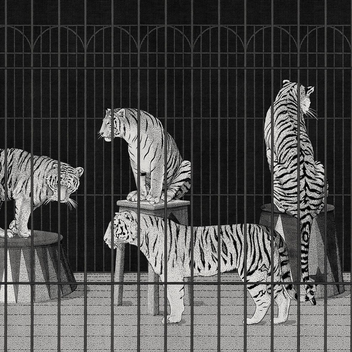 Vertoon produk Tigers van vervaardiger LONDONART